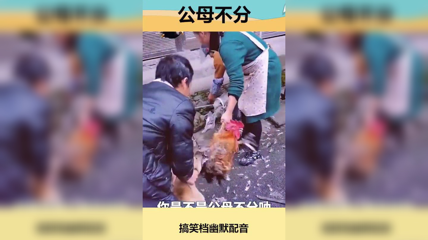 这俩恐怕上辈子是冤家吧