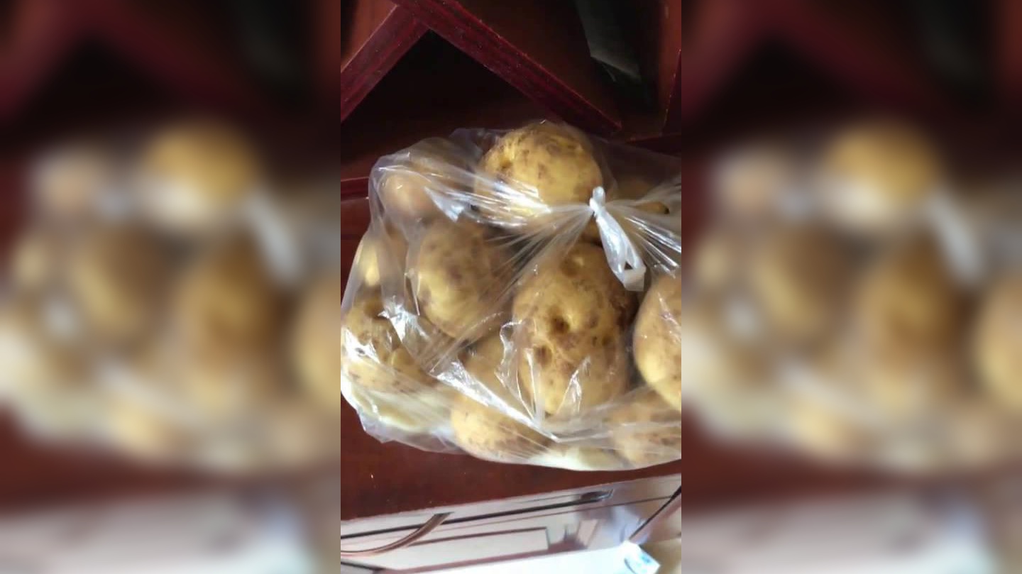 土豆吧(土豆吧月季)