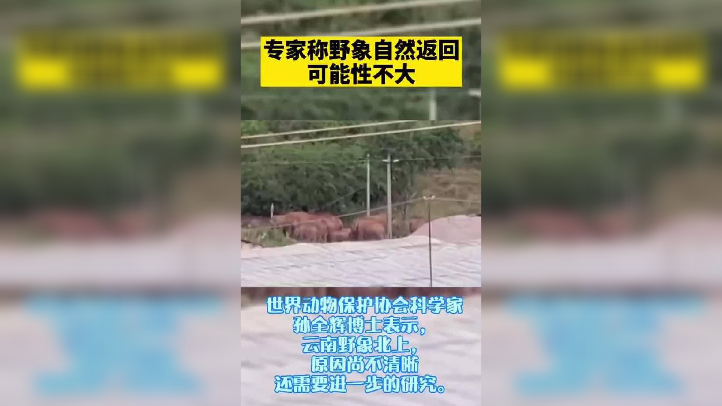 昆明一动物园游客喂大象吃塑料袋引众怒