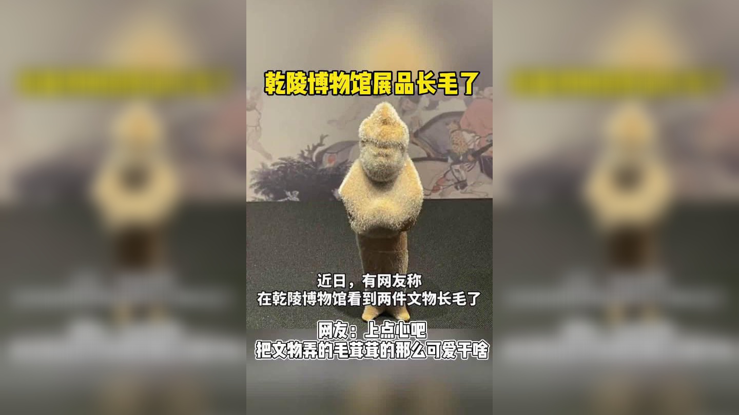 双猪立鸟器是三星堆民间玉器,可是专家说,古代的猪并不是这样