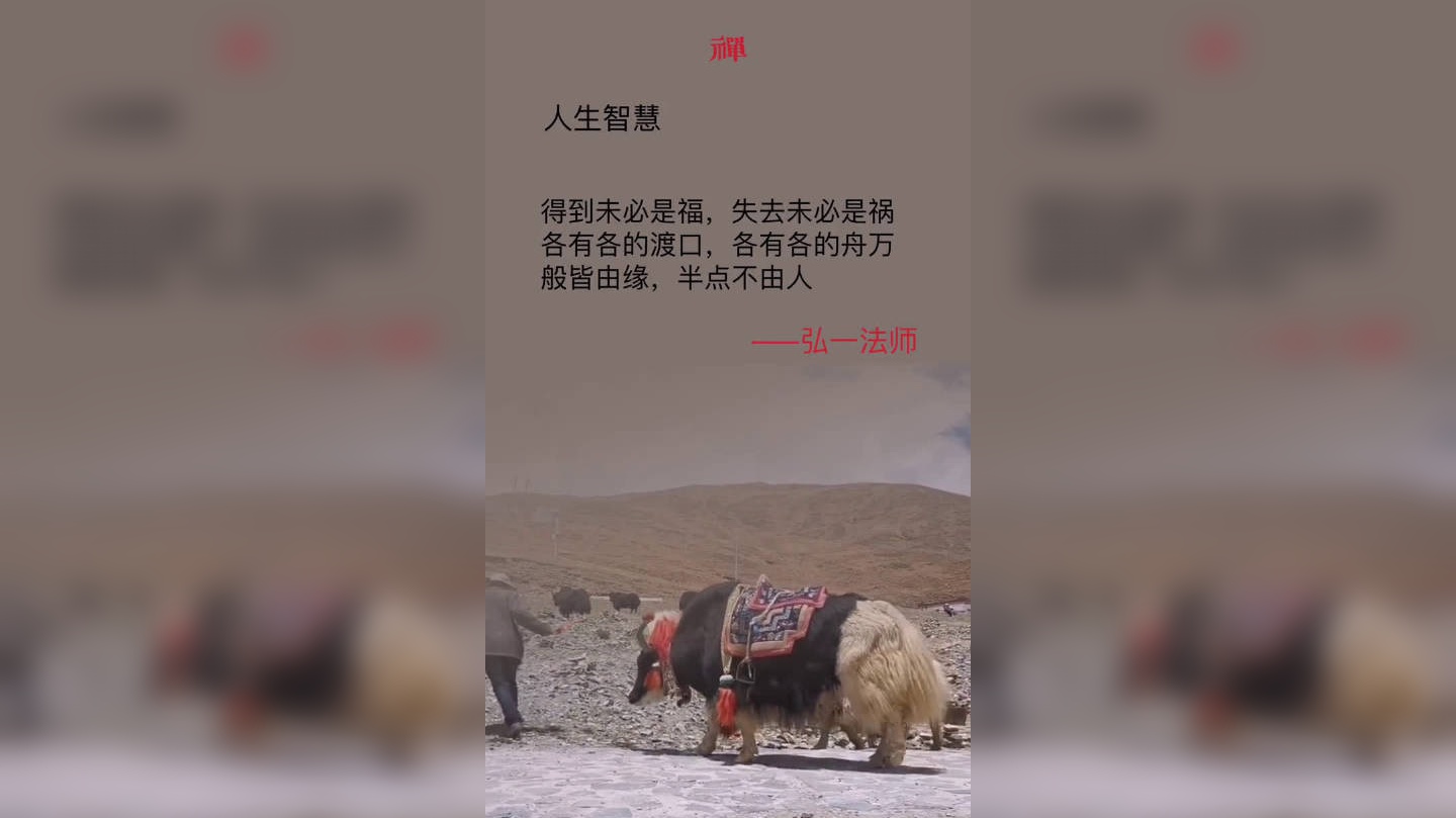 山海情:得福水花回忆过往,一时感慨万千!意难平啊!
