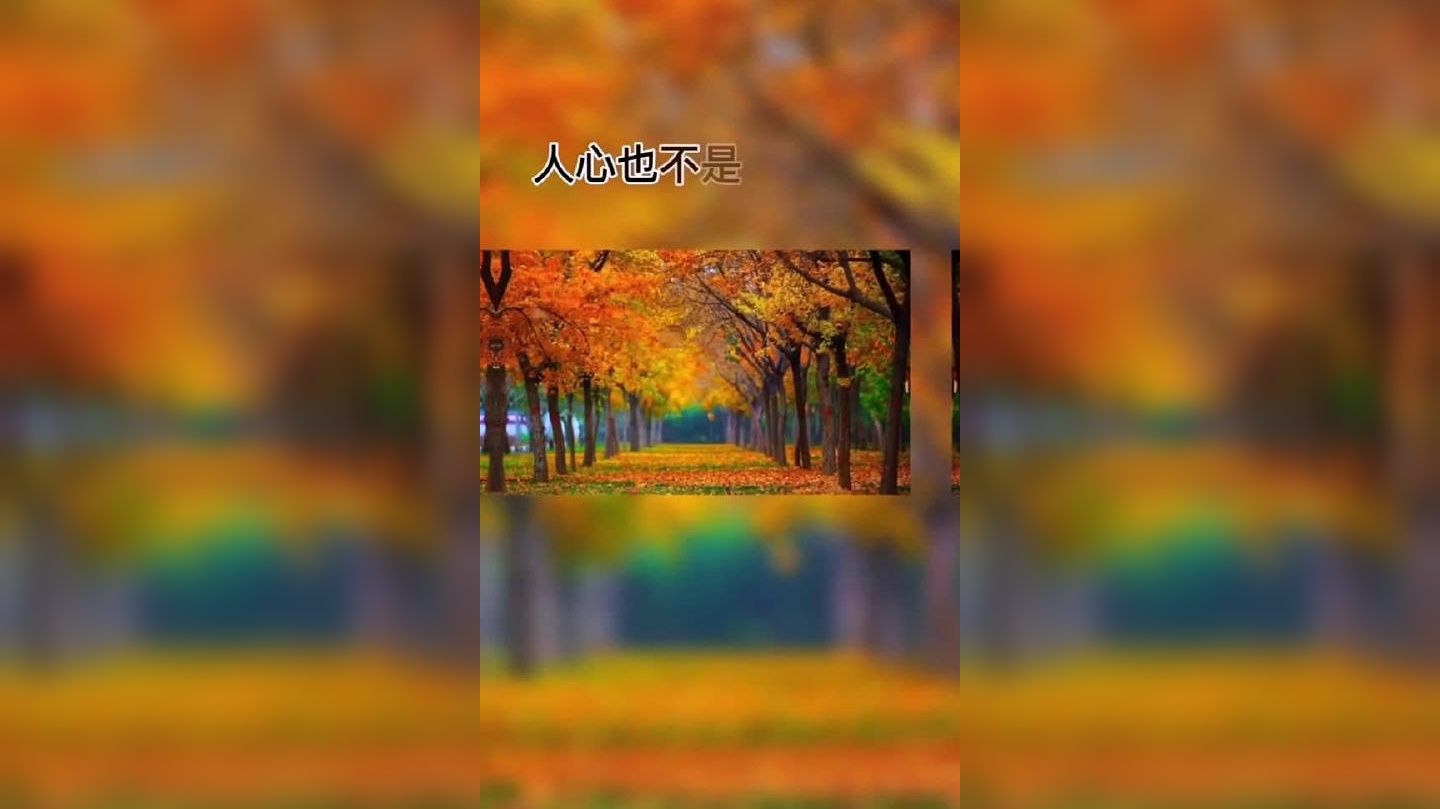 树叶不是一天黄的,人心也不是一天凉的,如果你发现我变了