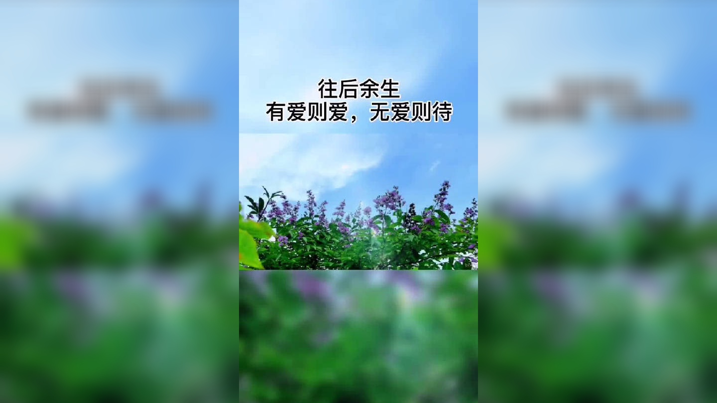 往后余生,顺其自然,静而不争,一切随缘……致自己感悟