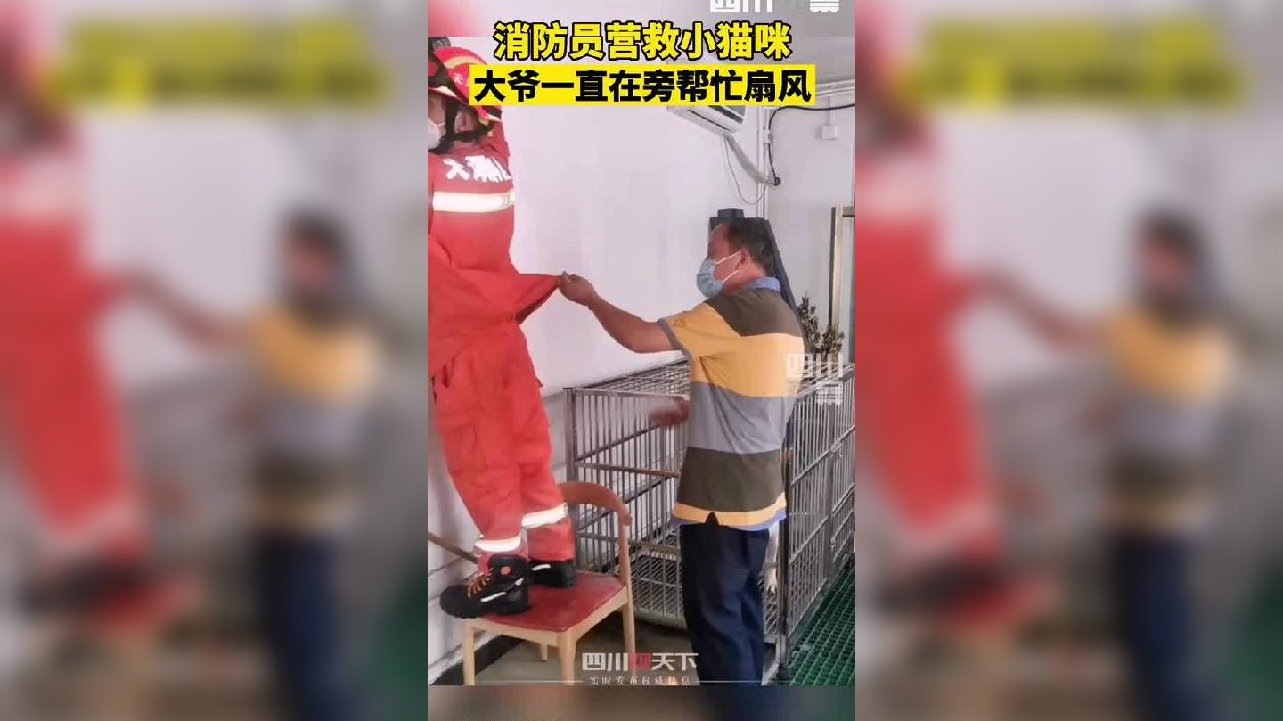 大爷为营救猫咪的消防员扇风暖心大爷送清凉