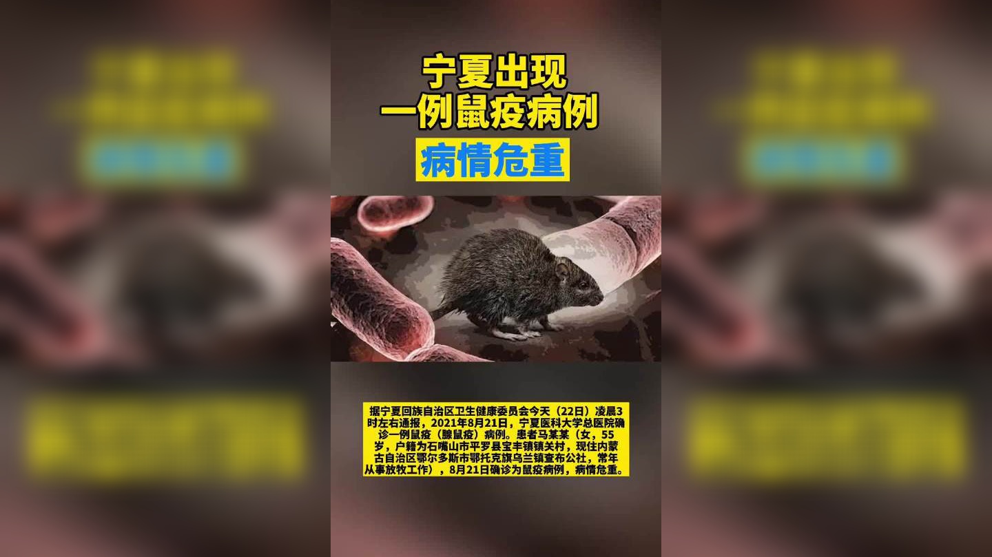 宁夏银川确诊一例腺鼠疫病例 患者病情危重常年从事放牧工作