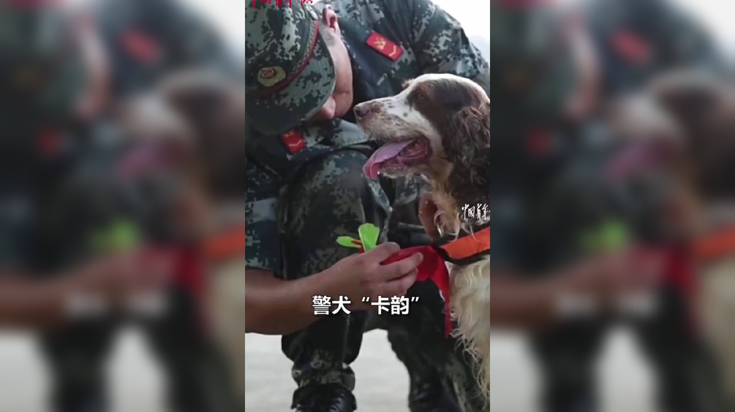 北京警犬基地 樱桃图片