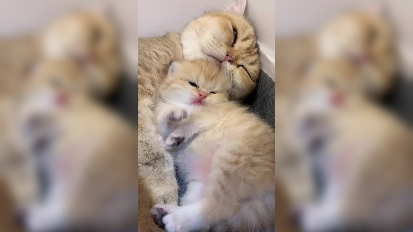 宝宝是在自己拍拍哄自己睡觉吗!这小肉爪好可爱啊!