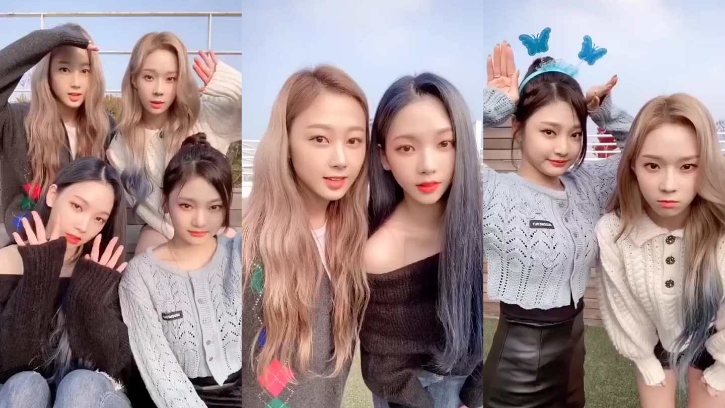 摇啊笑啊桥:小绵羊队全员卖力狂扭,竟然还带泼水的