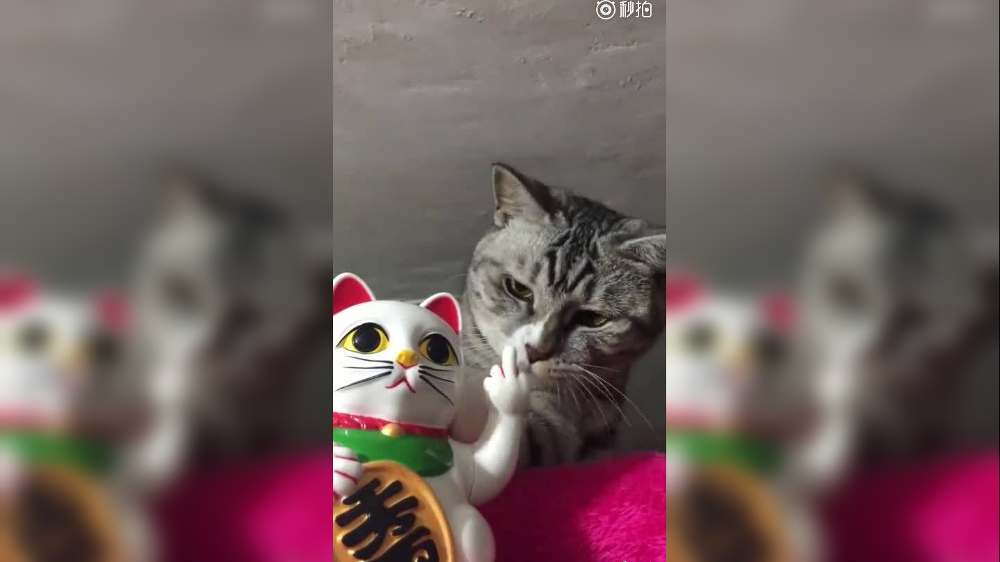 这招财猫的手势有点欠啊!