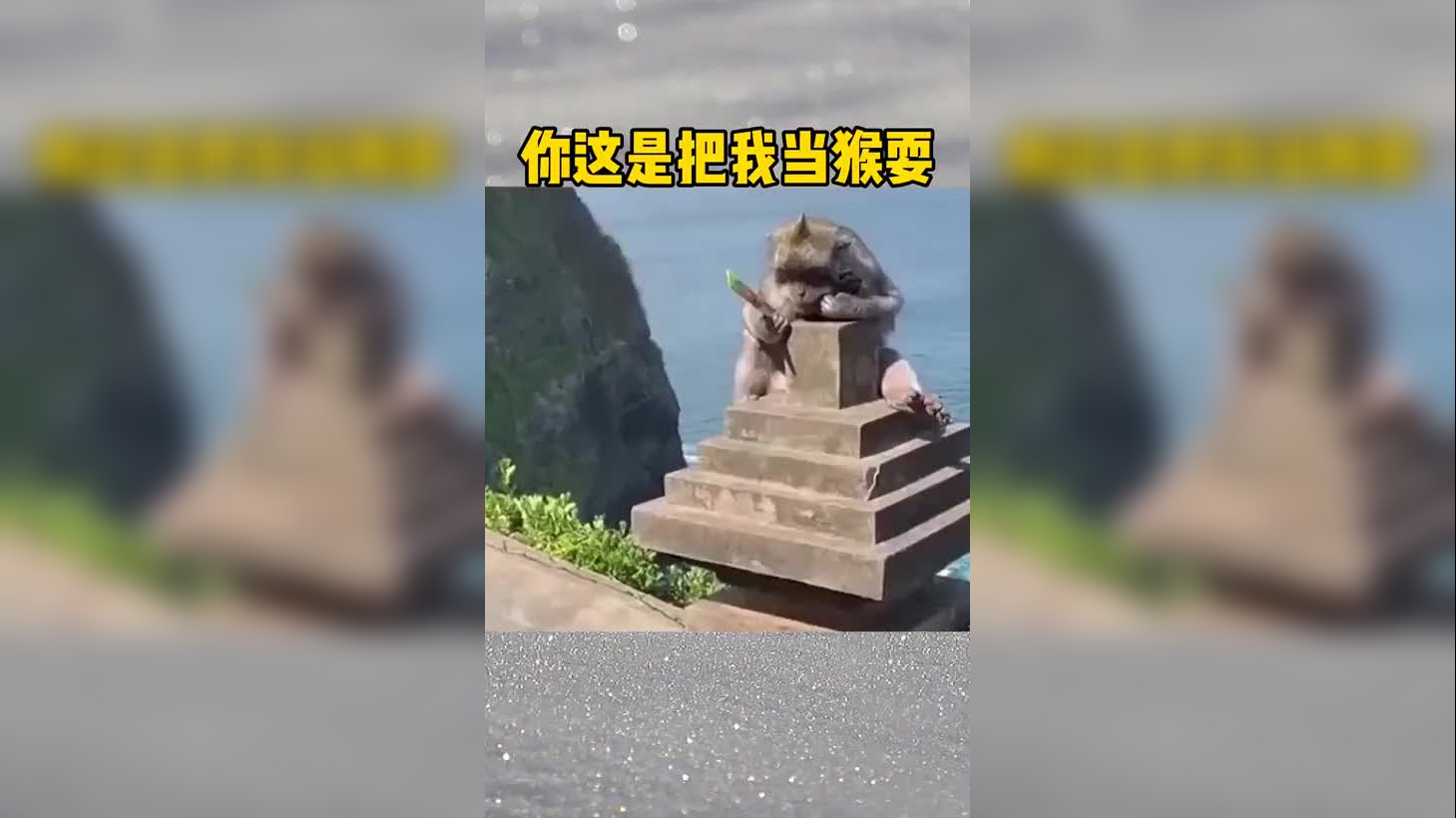 这哥们太聪明,本在耍猴子,反被猴子耍!