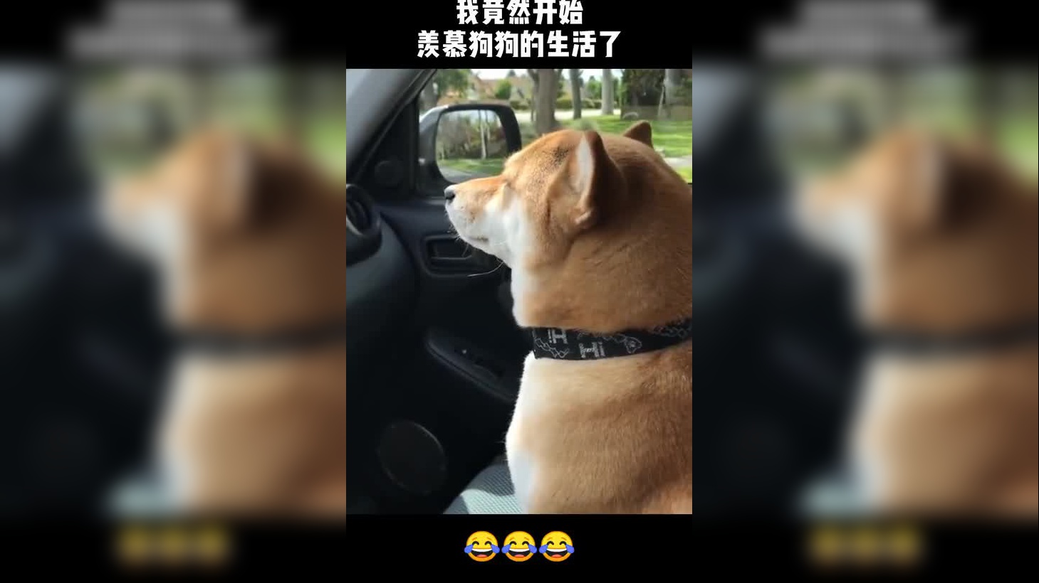 行车记录仪:对付这种加塞狗,就得以恶制恶