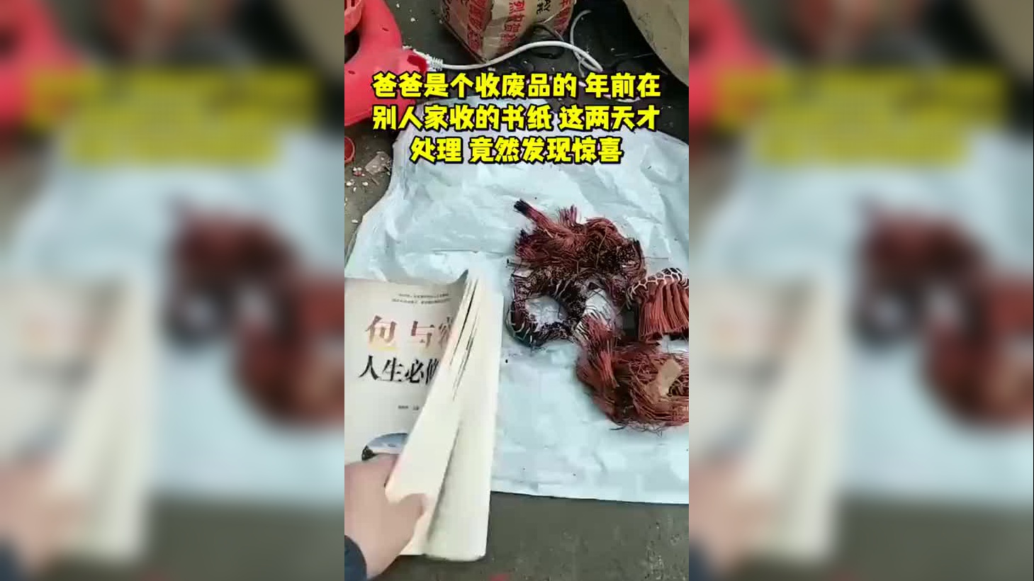 家里穷的揭不开锅,怎料收养了一个小乞丐,生活立马变得不一样