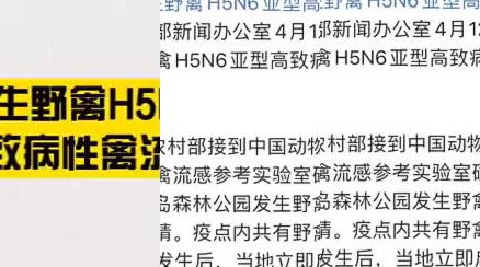 沈阳一公园发生禽流感疫情:已扑杀野禽280只_手机新浪网