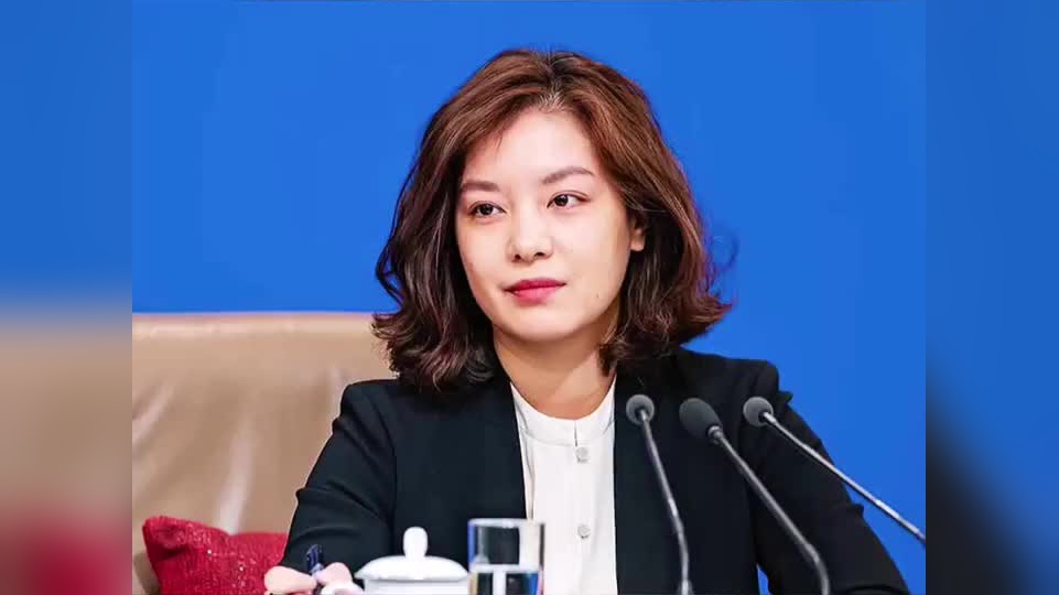 视频|"中国最美女译员"走红中外 外交部的"翻译大神"是怎样炼成的