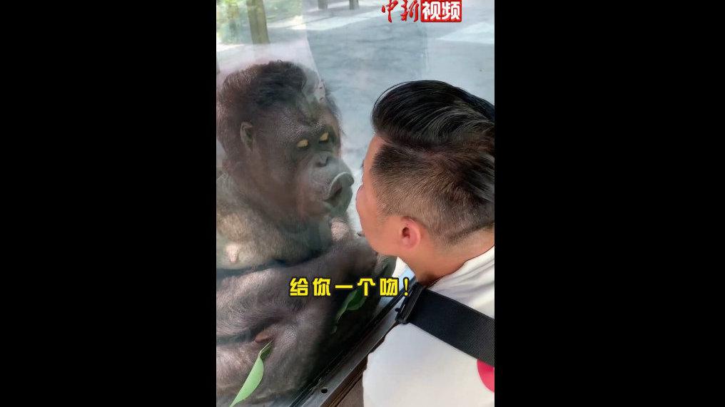 蓝军出击:首长看到韩旅长睡觉,不料下刻大怒,这个时候还睡大觉