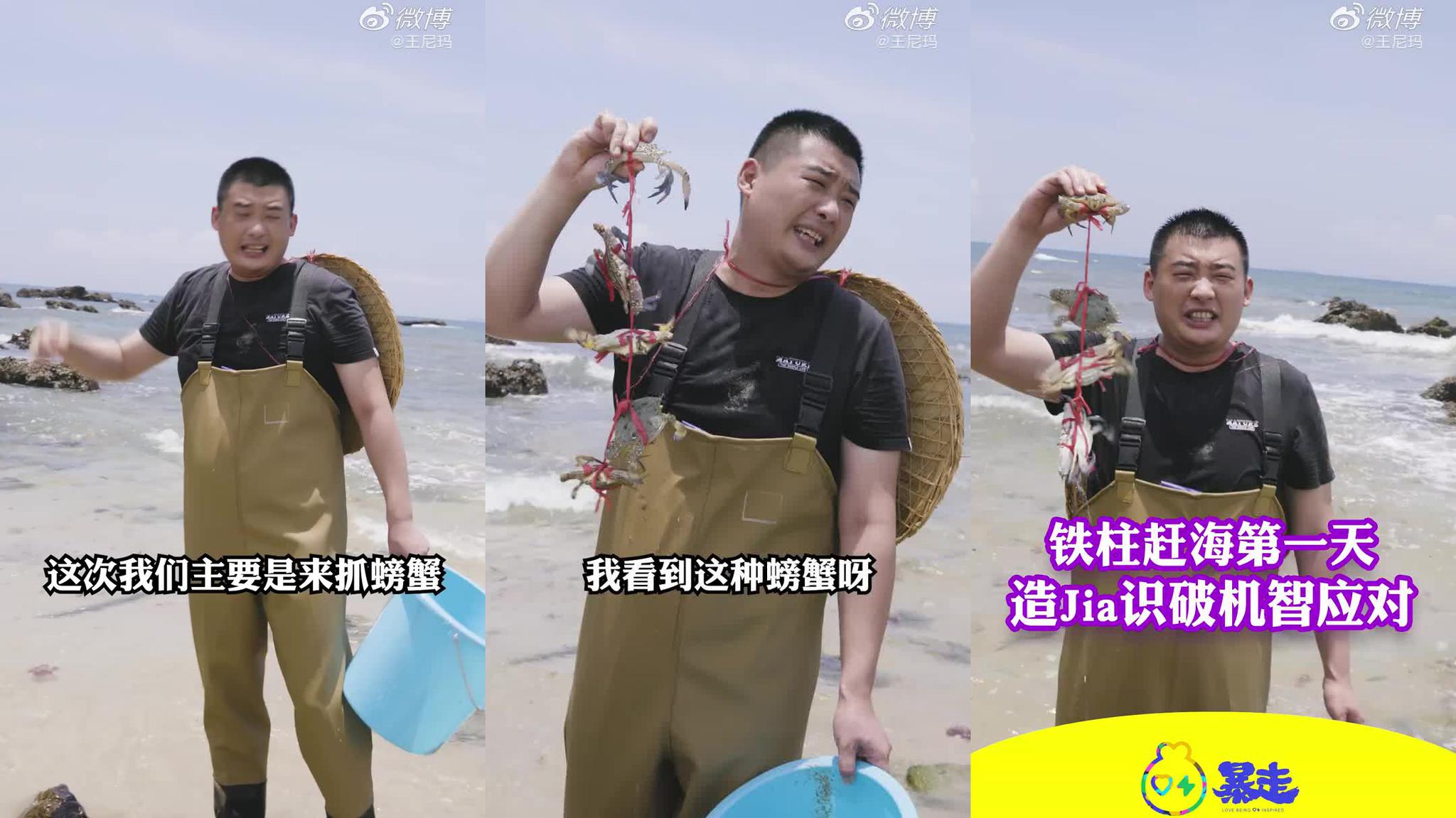 小倪赶海发现海虹搁浅区,大量海虹无人捡