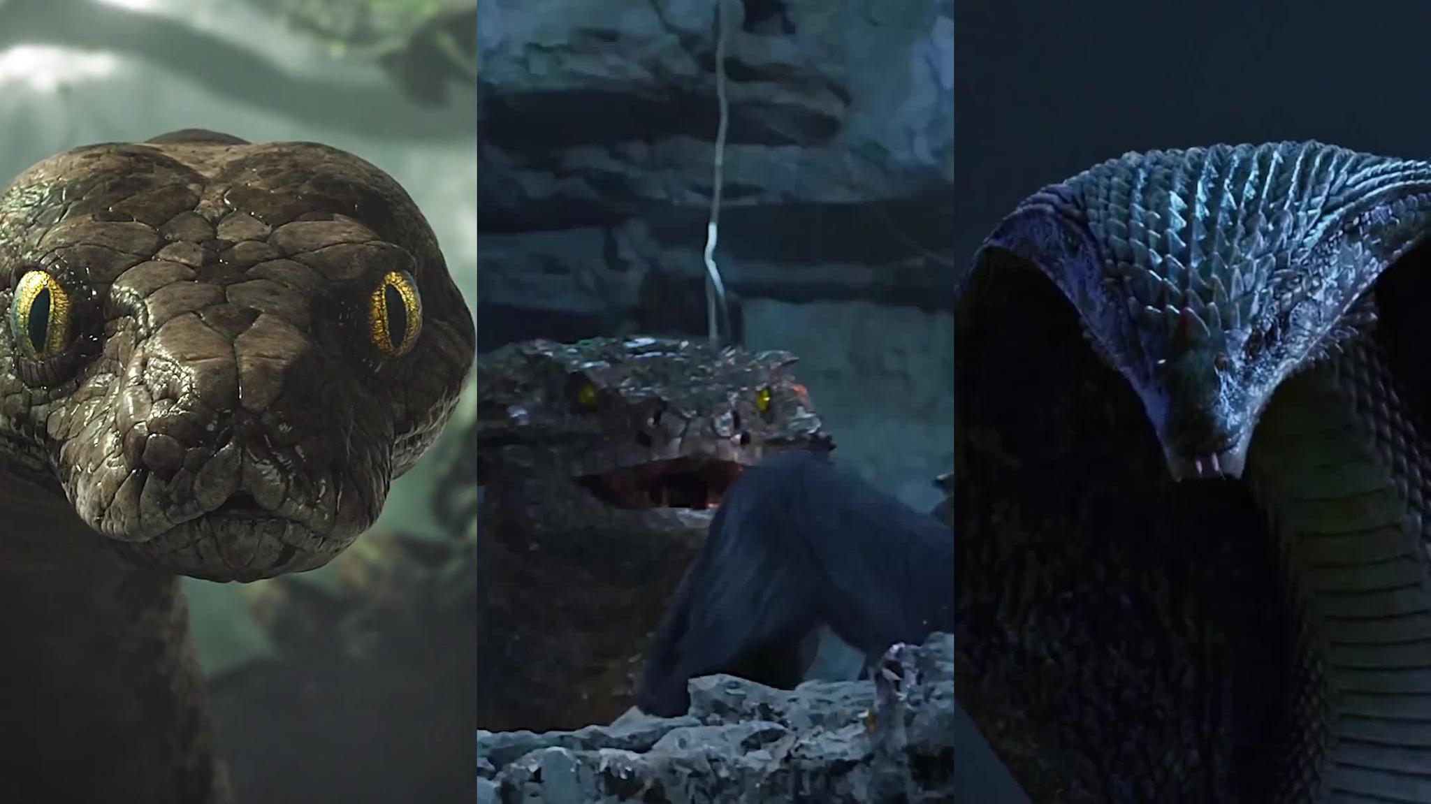 第一次看见彦佑半人半蛇的样子这腰身甚为粗壮看着滑稽