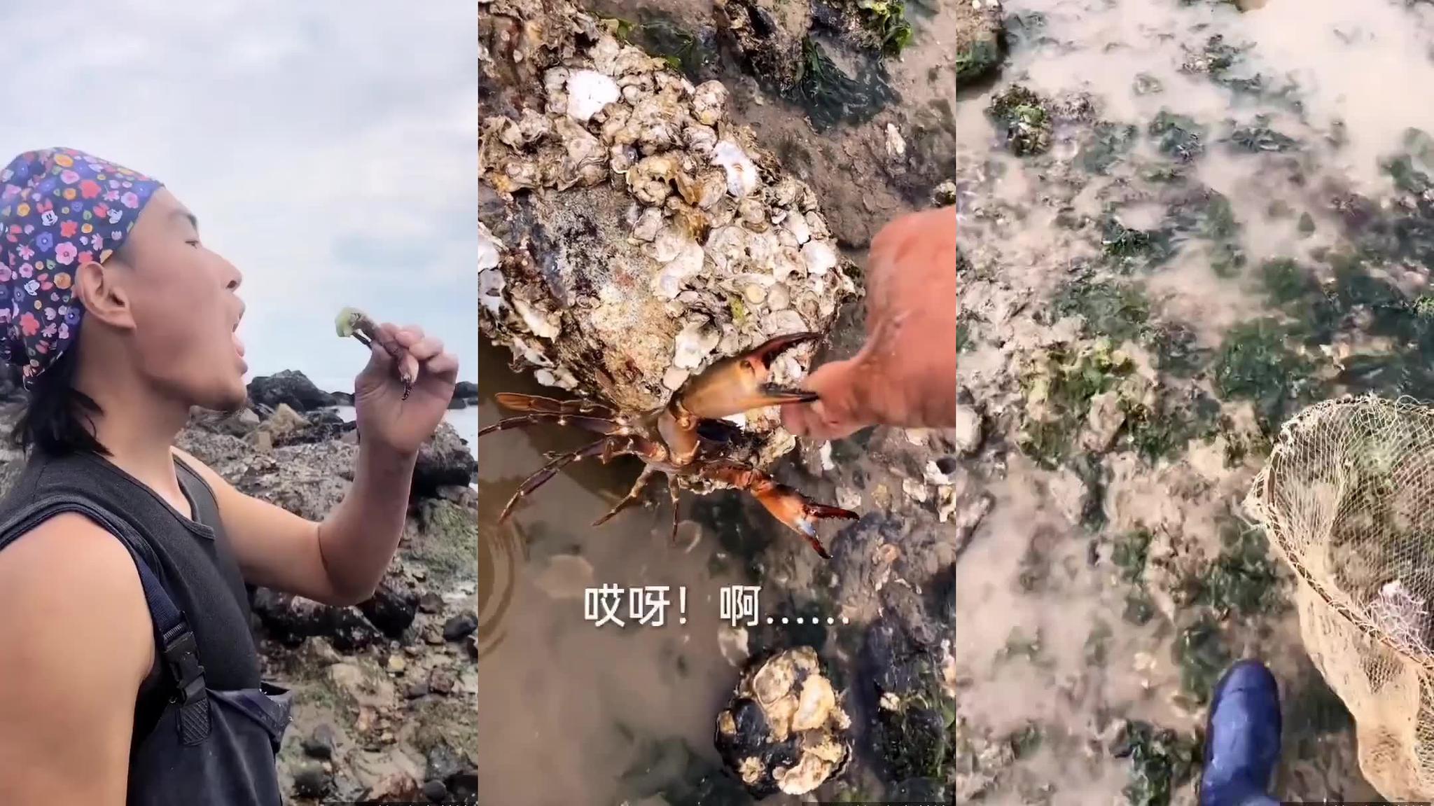 大梅赶海pk钓螃蟹被老公成功复仇,脑瓜崩神器用在了她头上