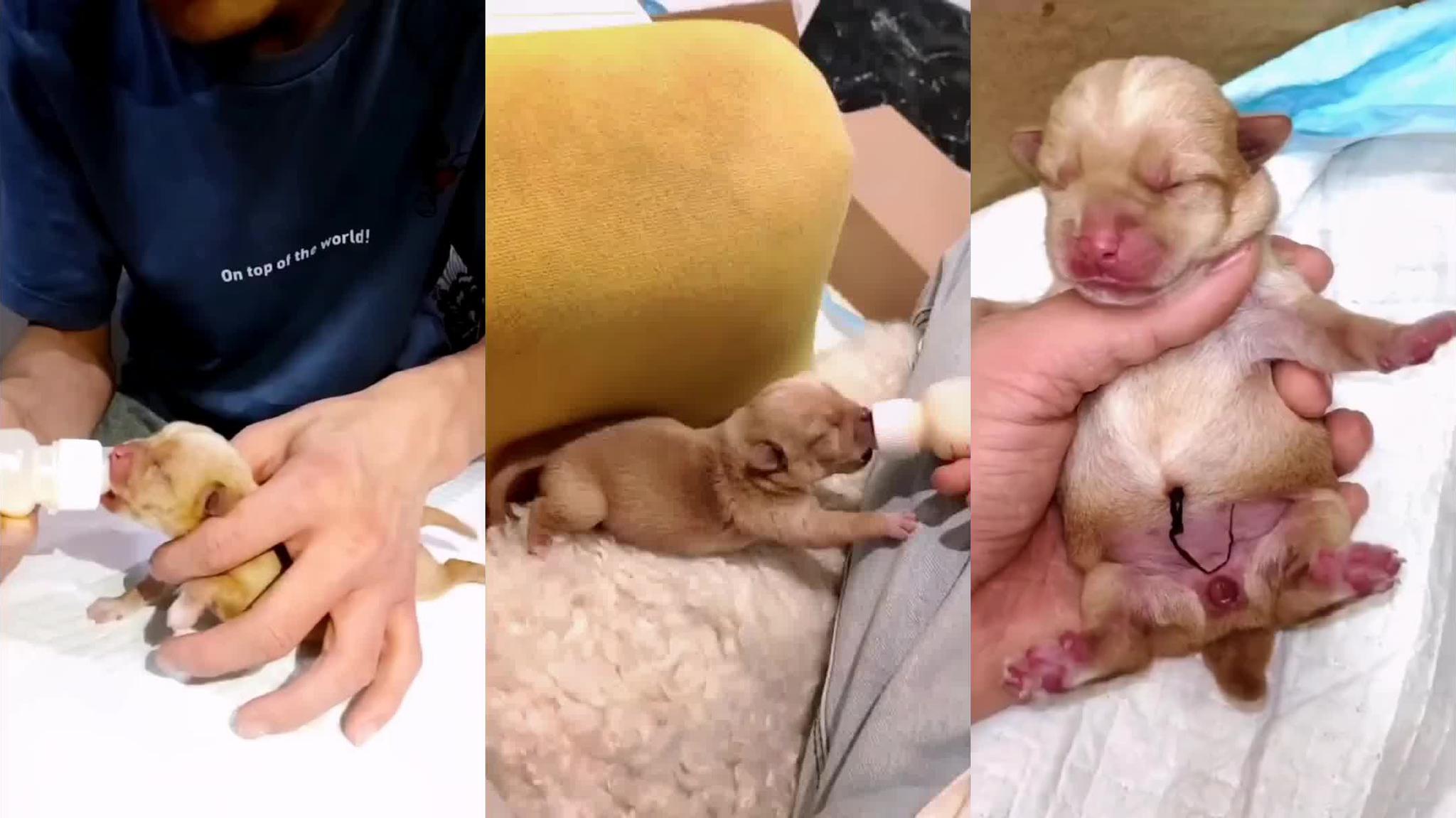 娘妻:秋菊将孩子生在路边,亲自给孩子断脐带