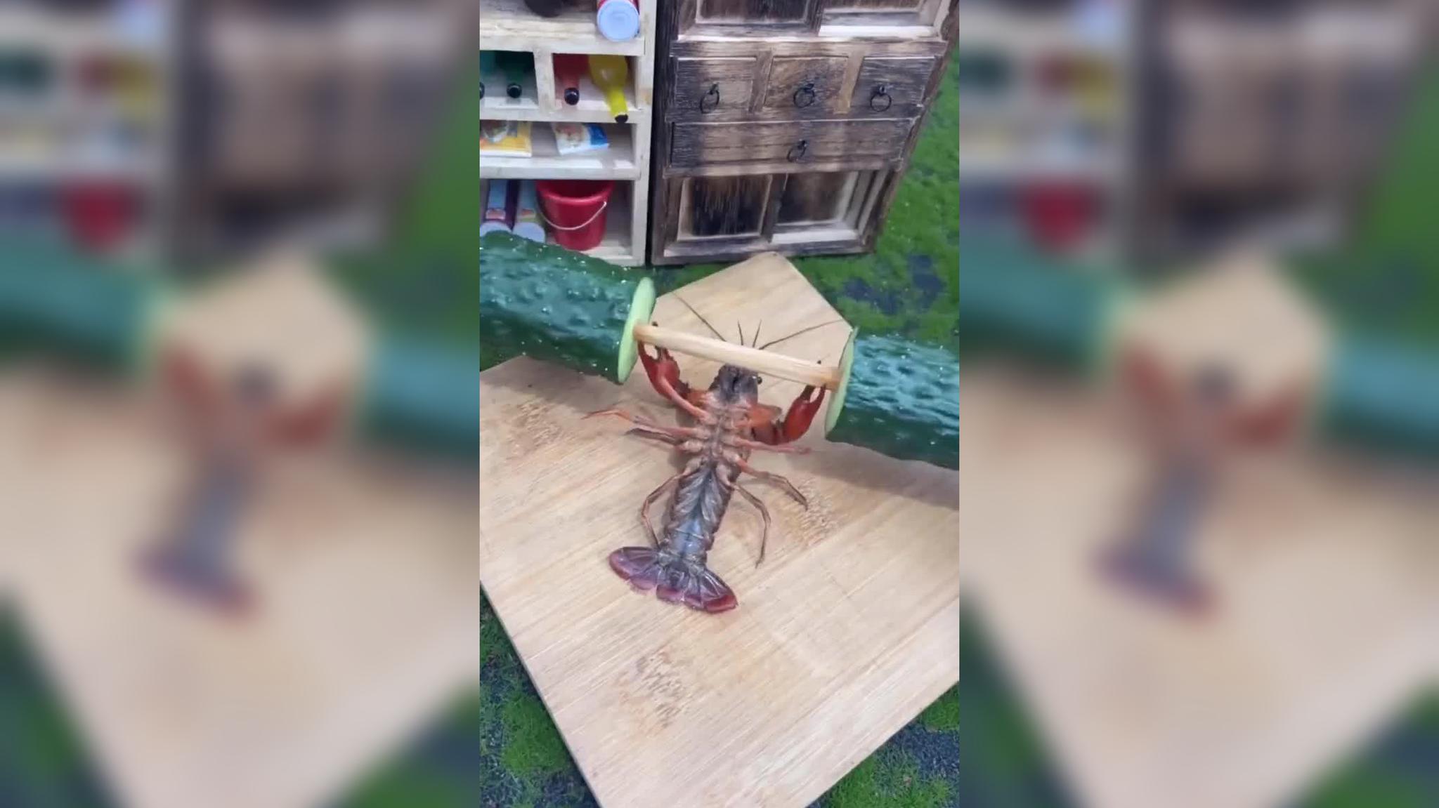 小哥哥训练的皮皮虾,弯腰的技术这么好,可以申请当演员了!