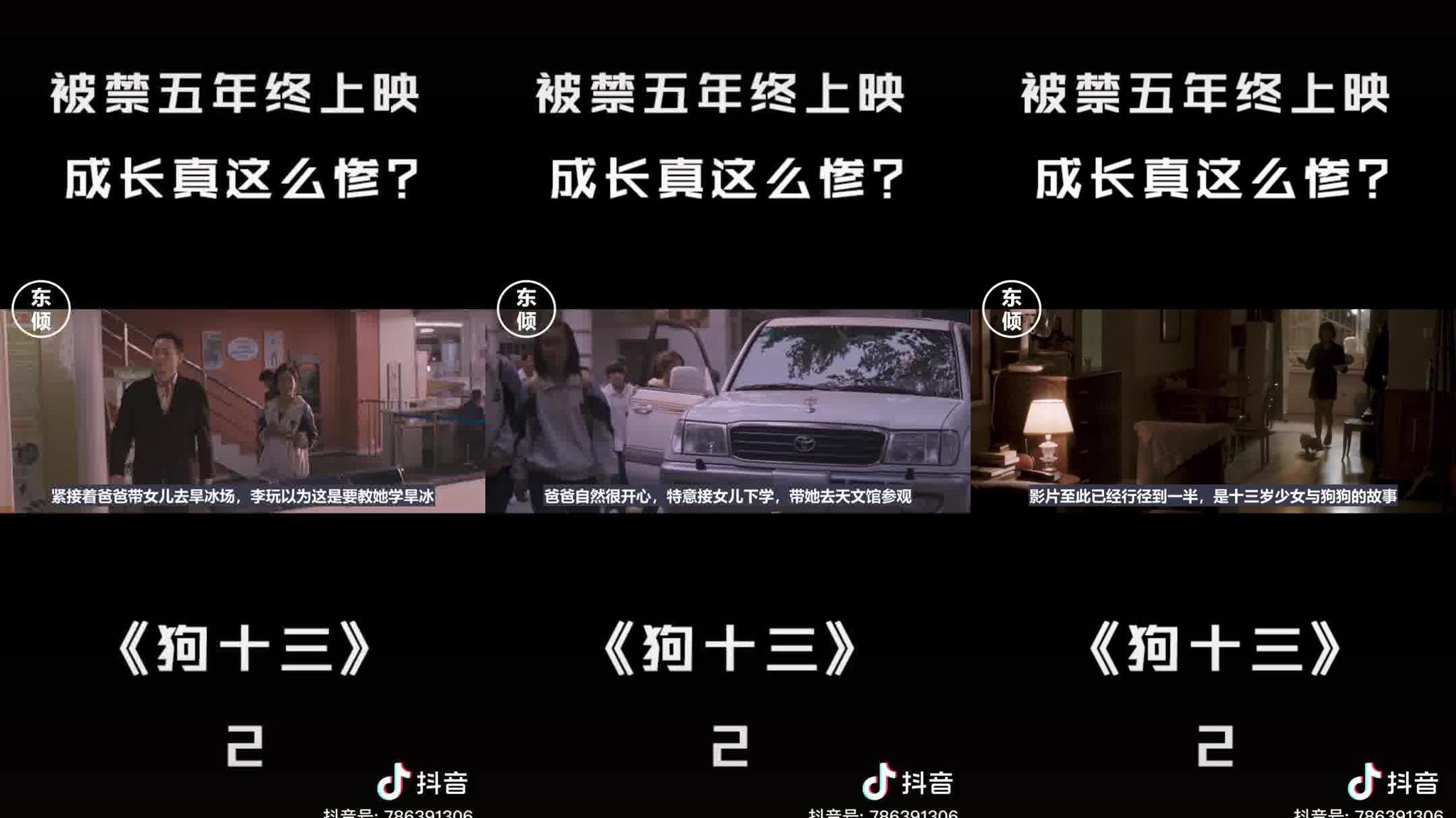 艺术电影 第324集 13岁女孩的残酷成长,深度解读《狗十三》