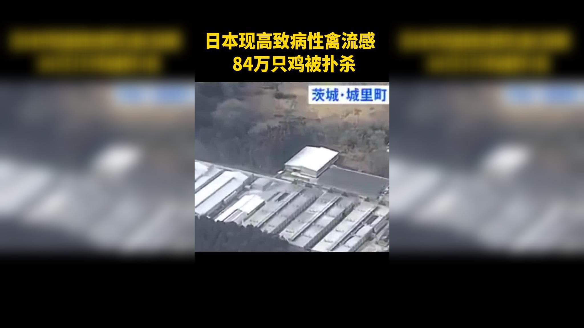 全球首次发现人感染h5n8禽流感 尚未出现人传人
