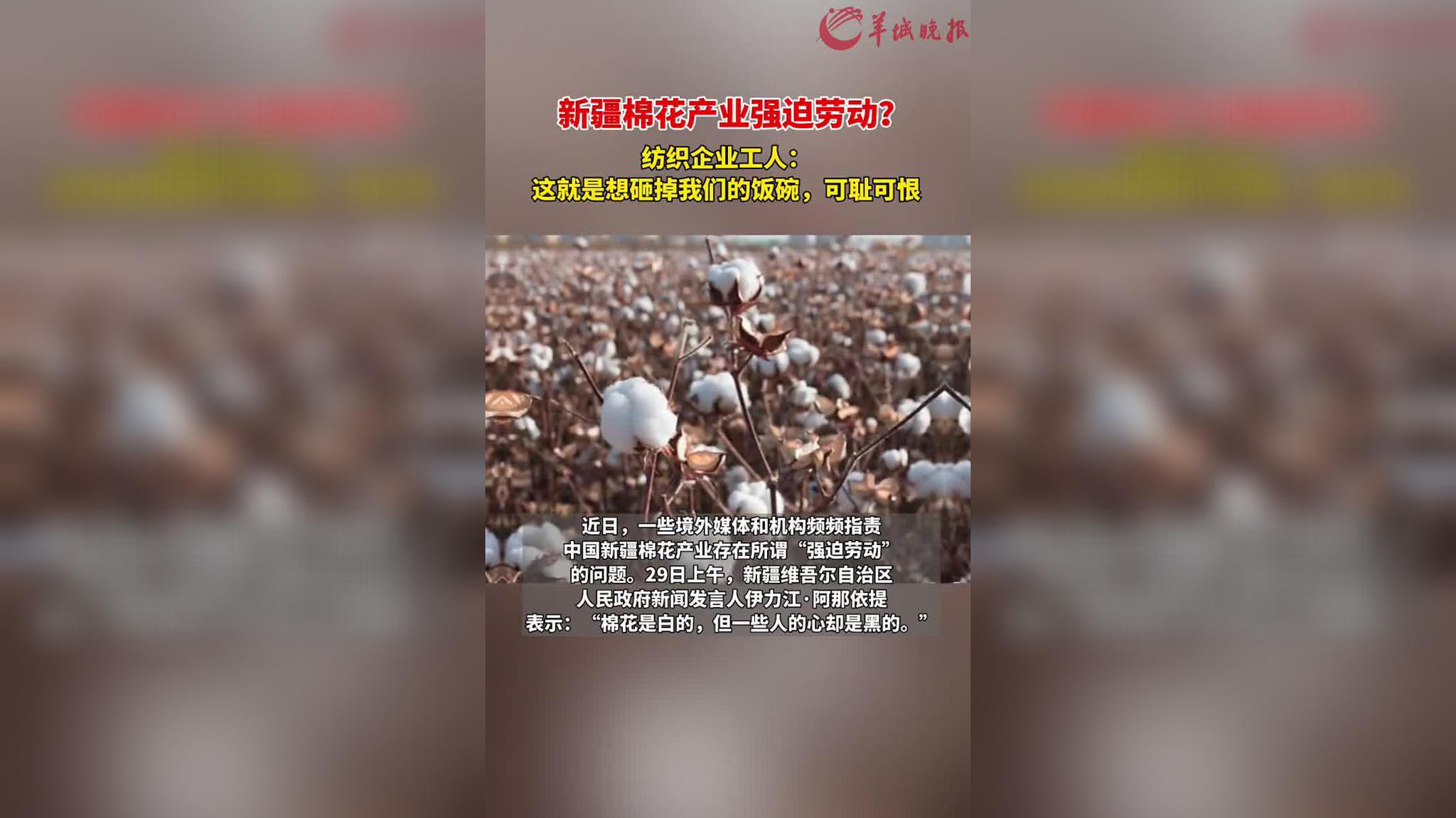 起底新疆棉花事件幕后产业链!bbc,cnn都脱不了干系