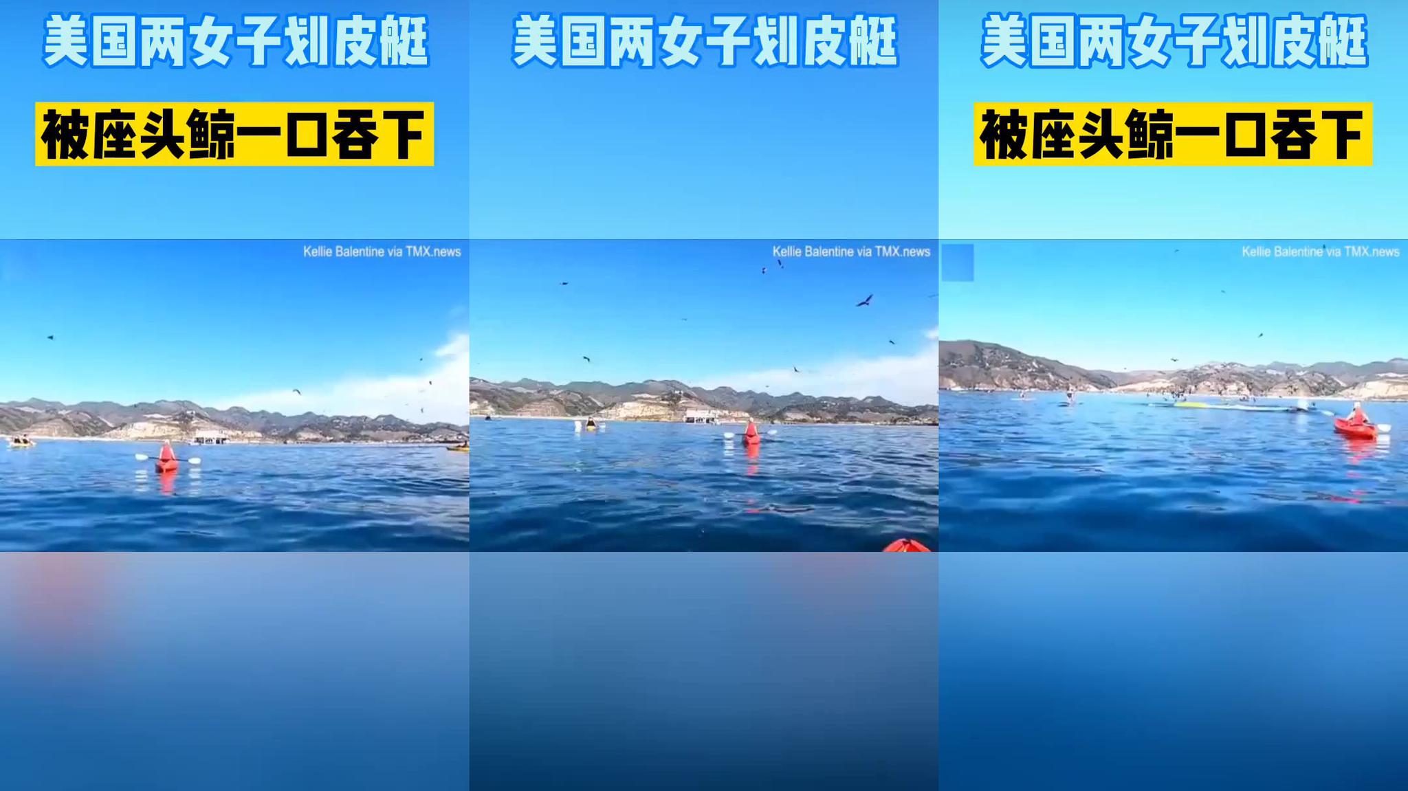 科幻片《隐匿的数字》:数学家发现3和4的秘密,掌握它能穿越时空