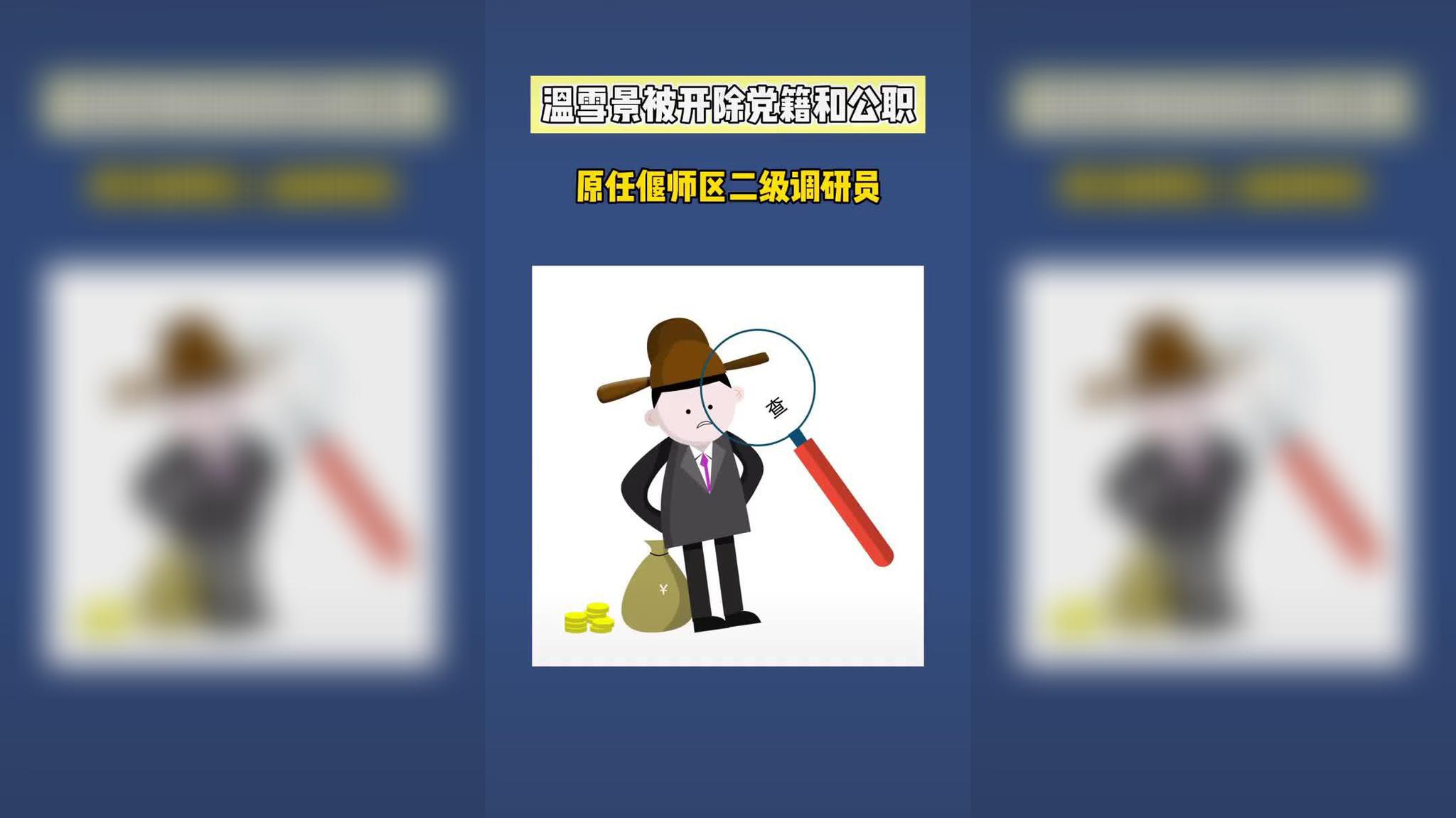 温雪景被开除党籍和公职 ,原任偃师区二级调研员