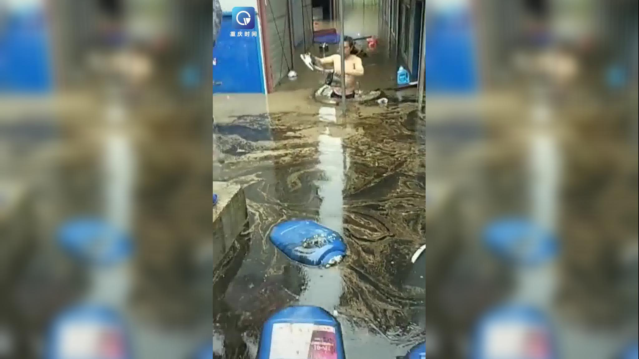 重庆奉节狗咬死男童案双方协商一致 肇事方赔偿死者家属55万元