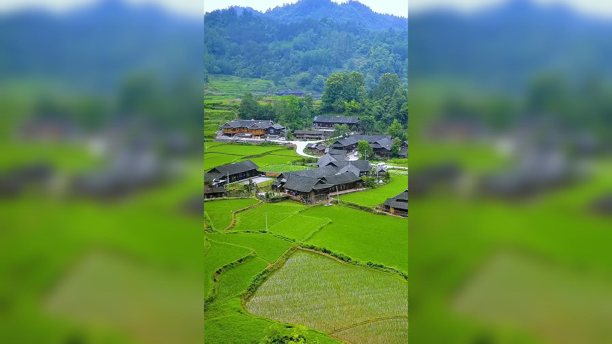 我和我的村庄:新螺头村——新"守岙人"的乡建活动