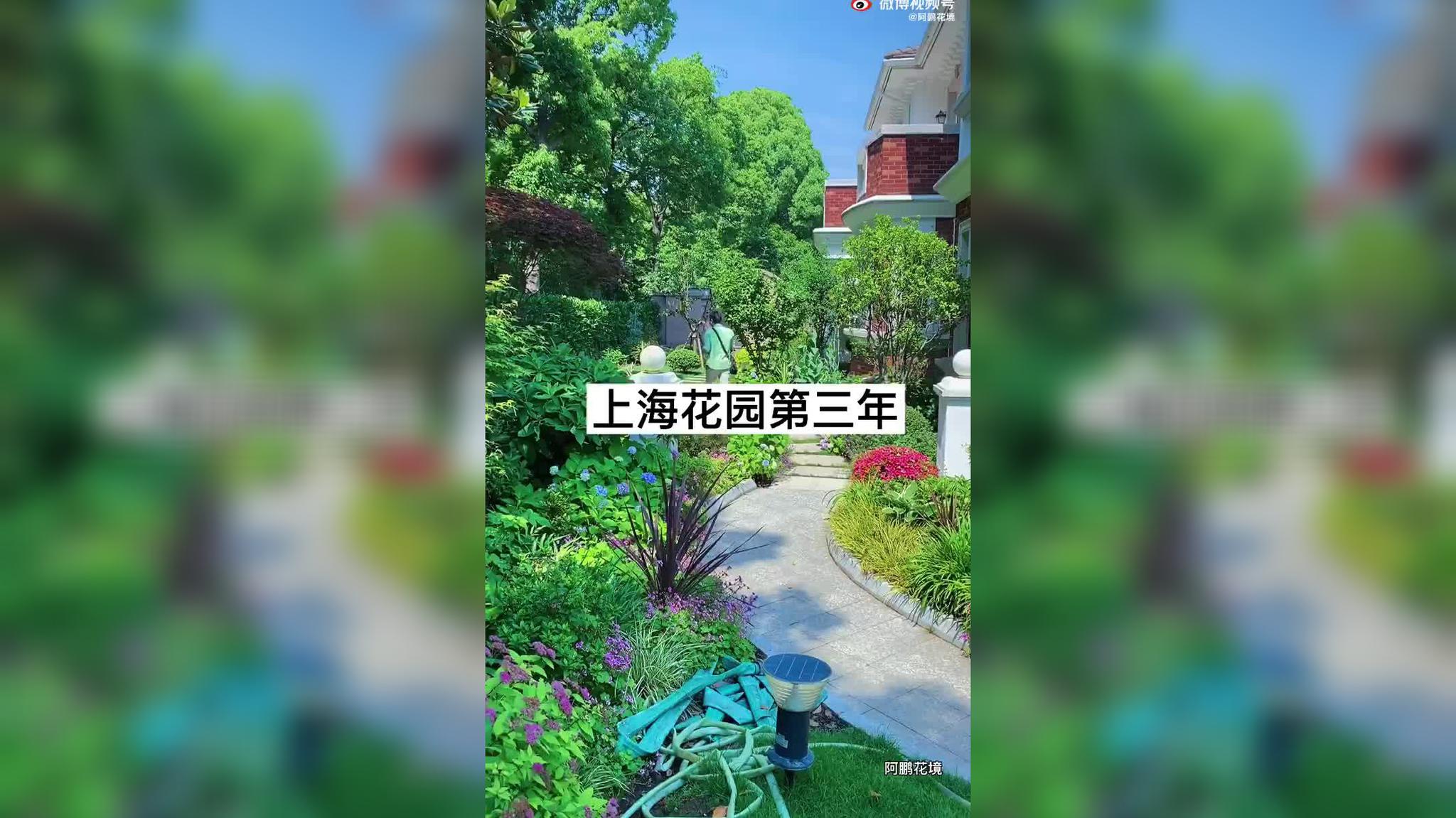 贝巴的锦湖回旋听过没有?我林皇回旋怎么样?