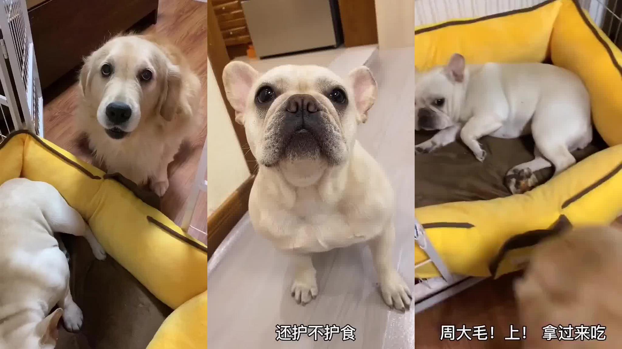 行车记录仪:对付这种加塞狗,就得以恶制恶