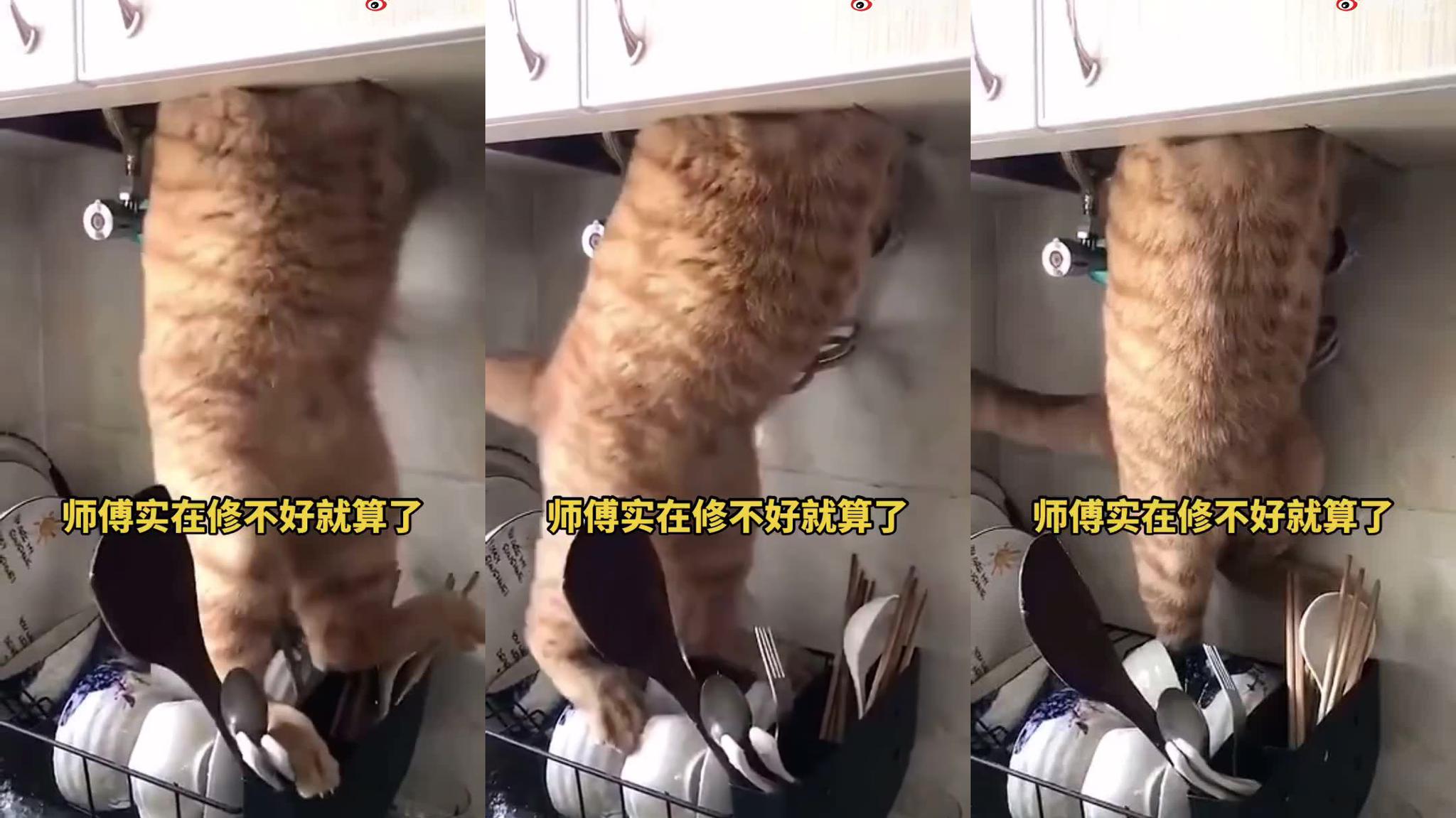猫师傅:扳手递一下谢谢