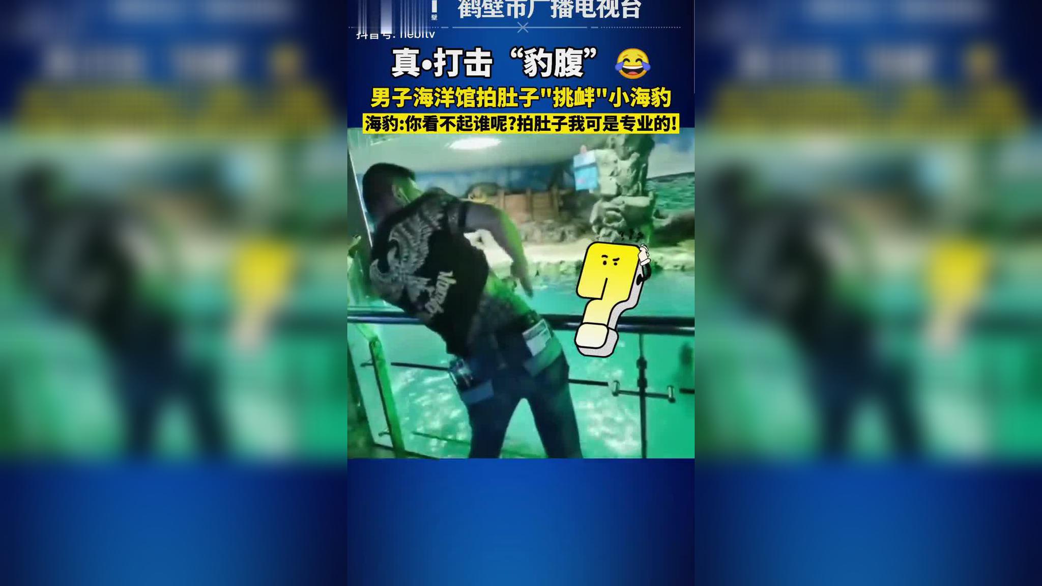 打击"豹腹"男子朝拍肚皮,海豹:跟我比拍肚皮还嫩点