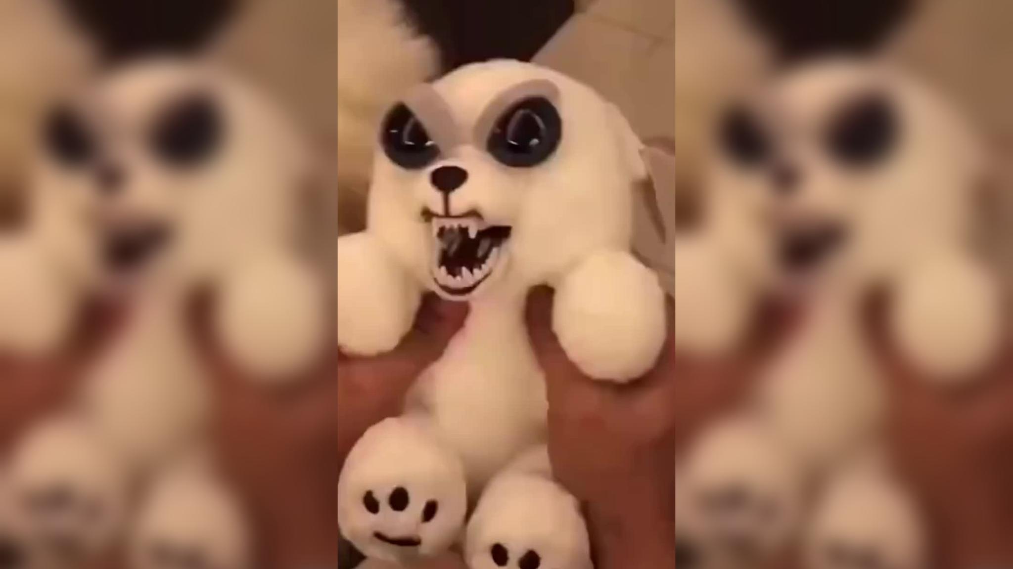 主人要给啵啵乐粘毛发,看啵啵乐是怎么做的真可爱,萌萌哒