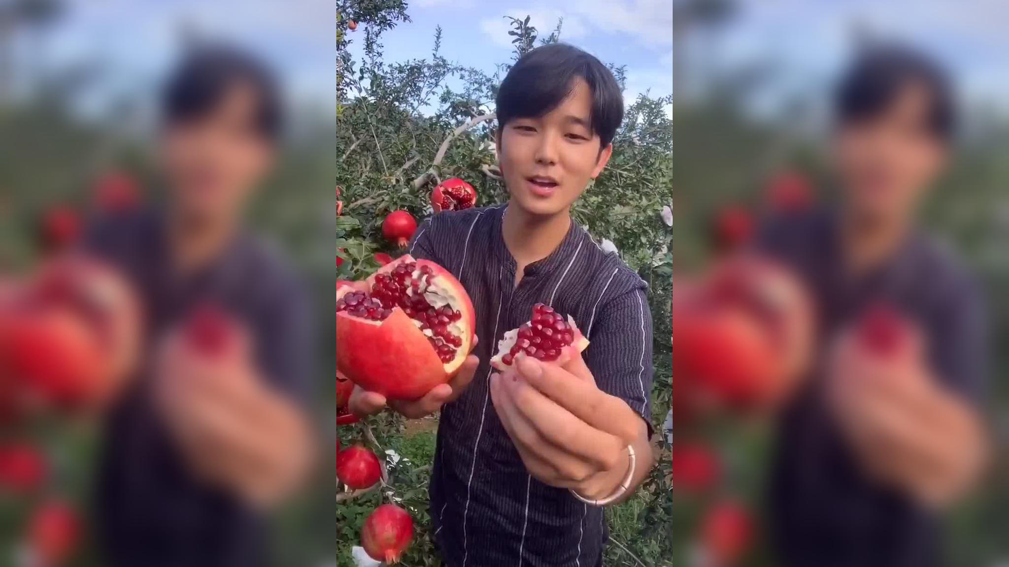 热血勇士:杨虎威要以死谢罪,把石榴托付给韩志鹏