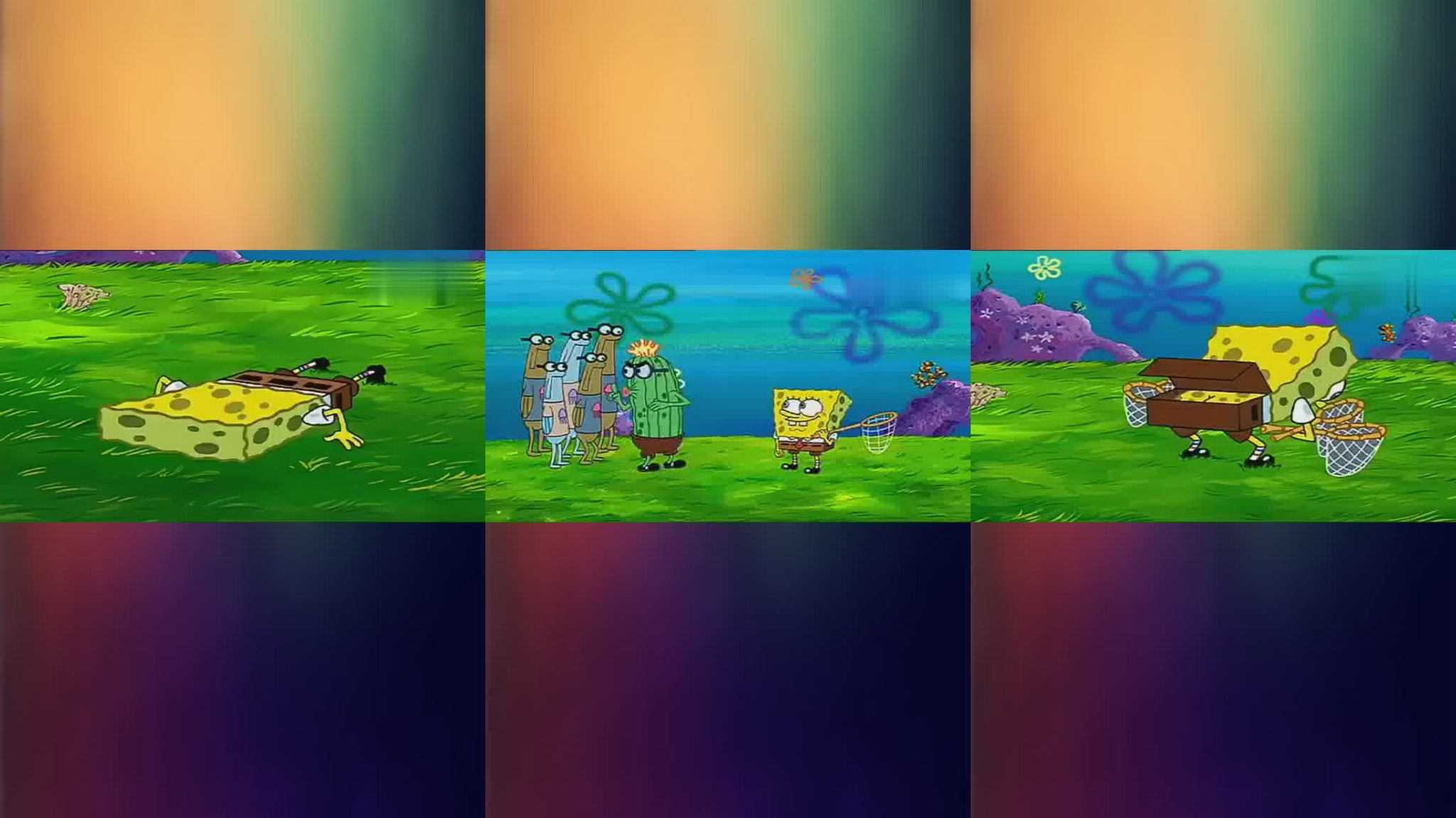 彩虹"捕手":四年拍下上千条彩虹