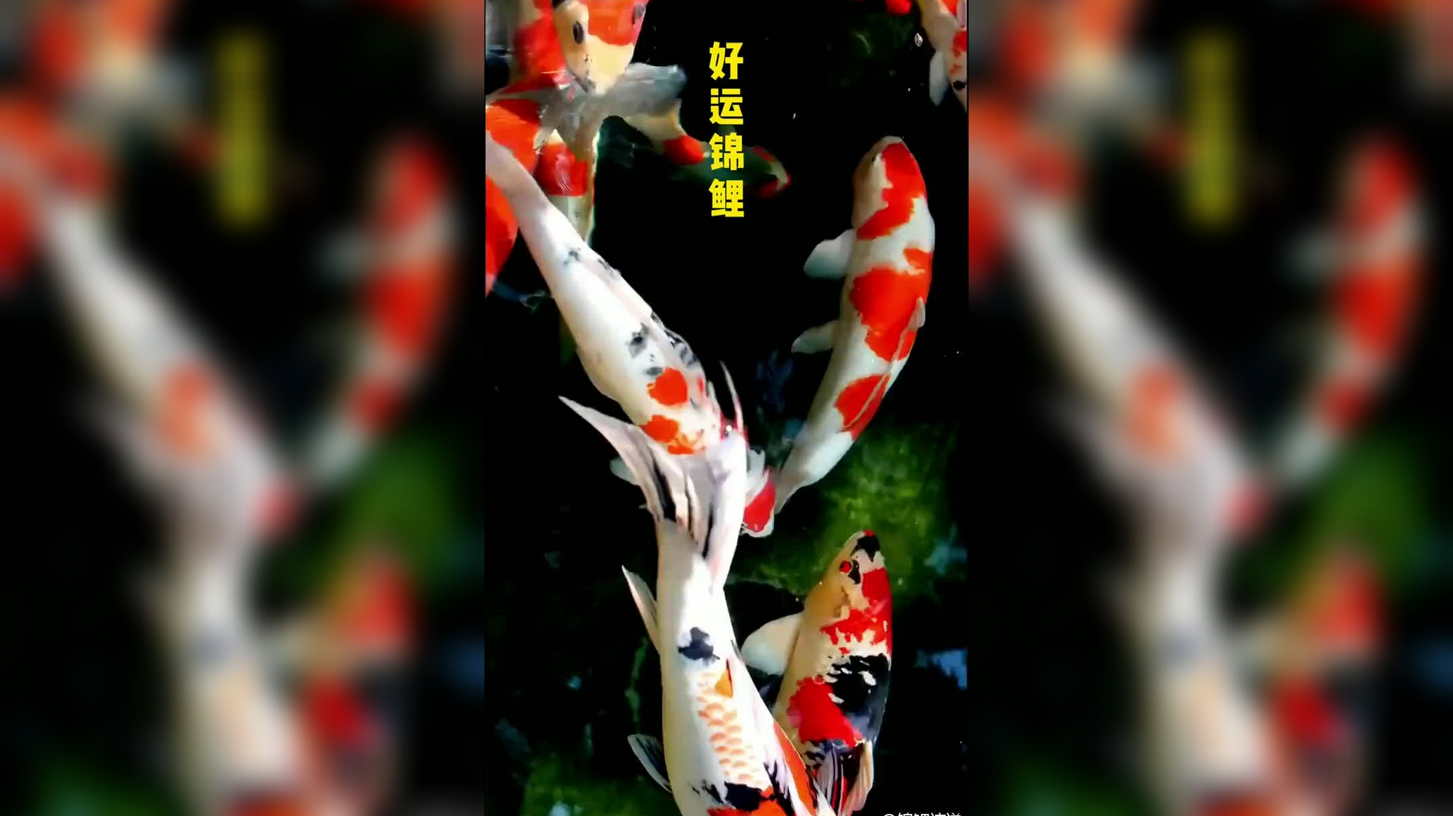 巨蟹座每日运势:2021年7月21日趋吉避凶,打卡接好运!