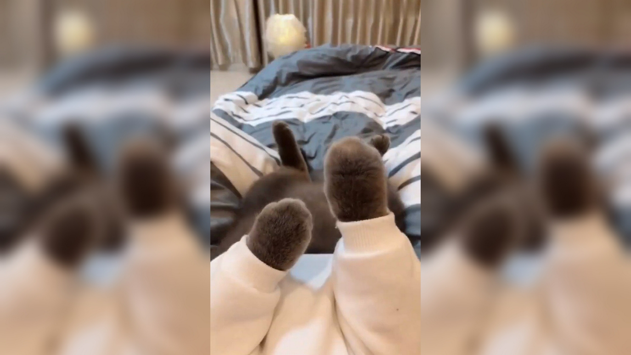 小短腿让小伙伴把臭jiojio拿开