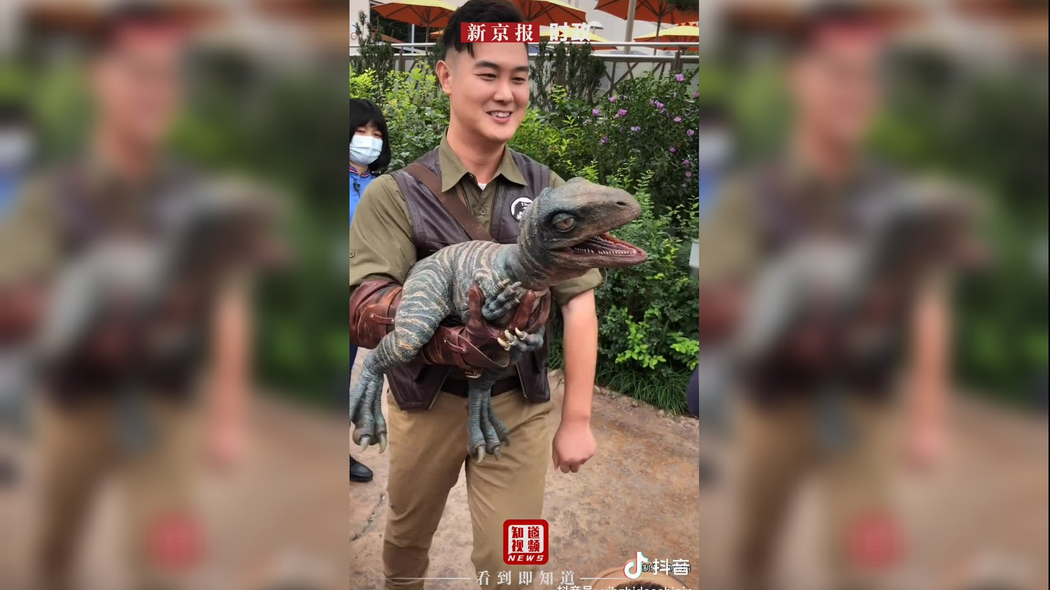 活捉一只可爱的迅猛龙幼崽!