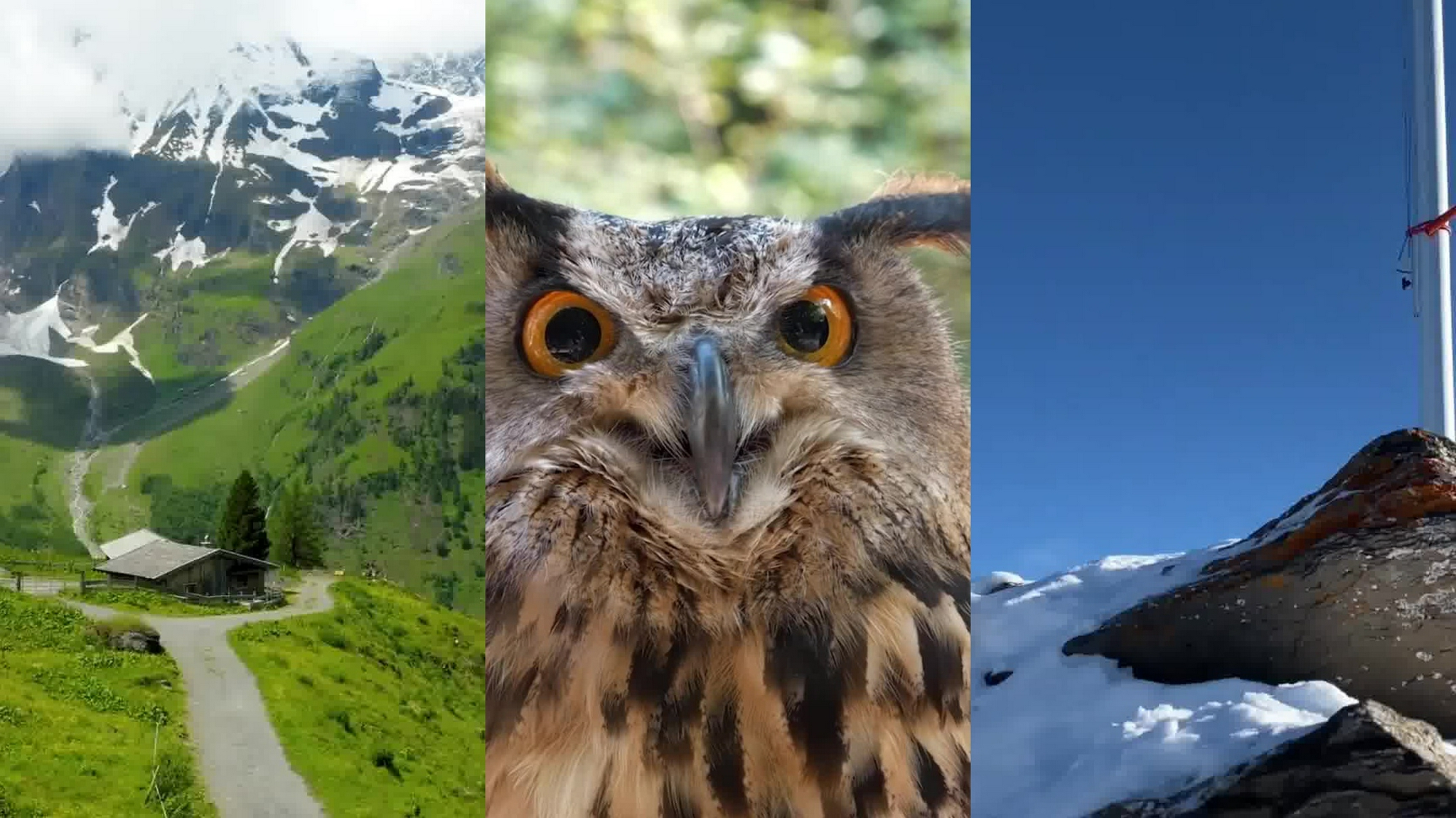 《谢采妘-总有一天等到你》