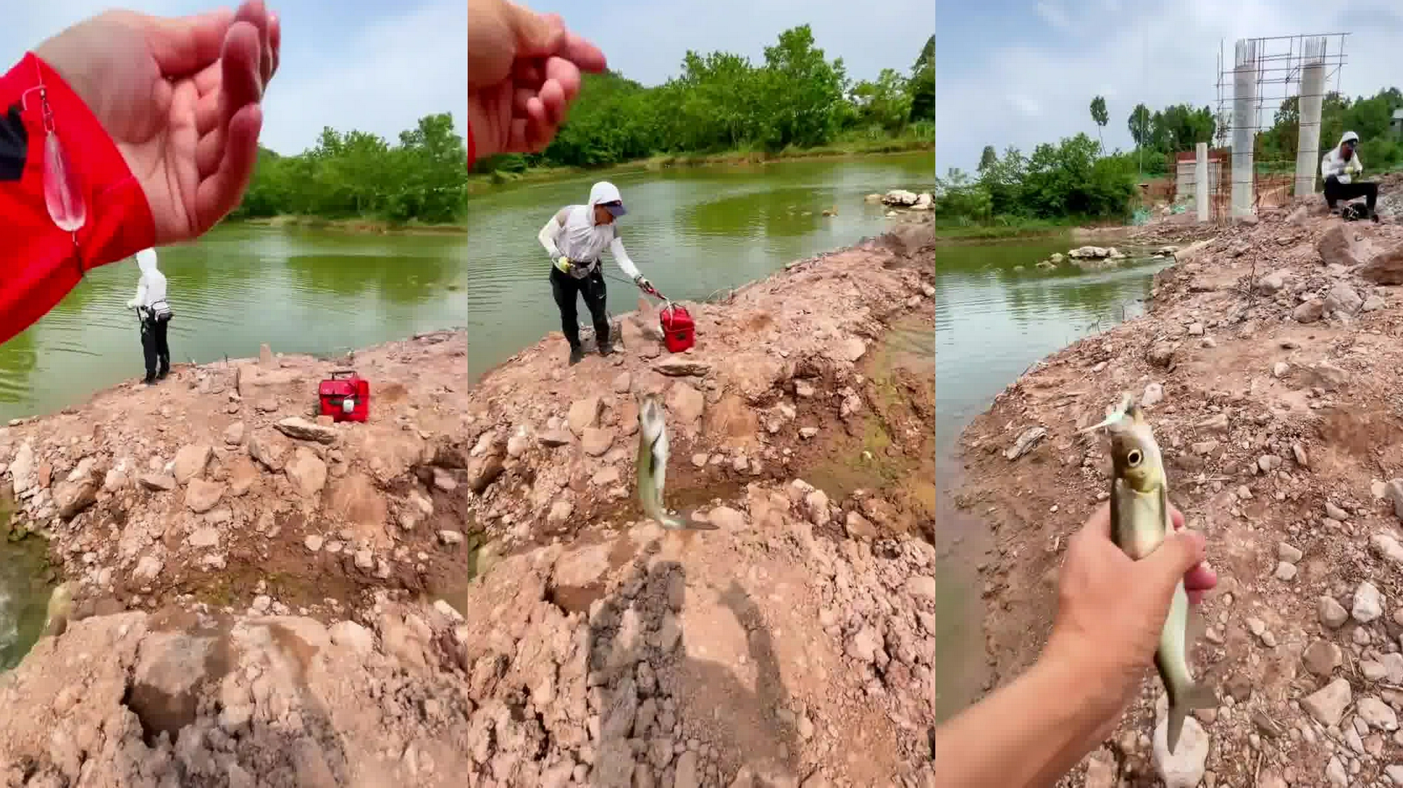 海边刚退潮就赶海,小斗抓到抽筋的大鱼,还挖到两只大蛏王