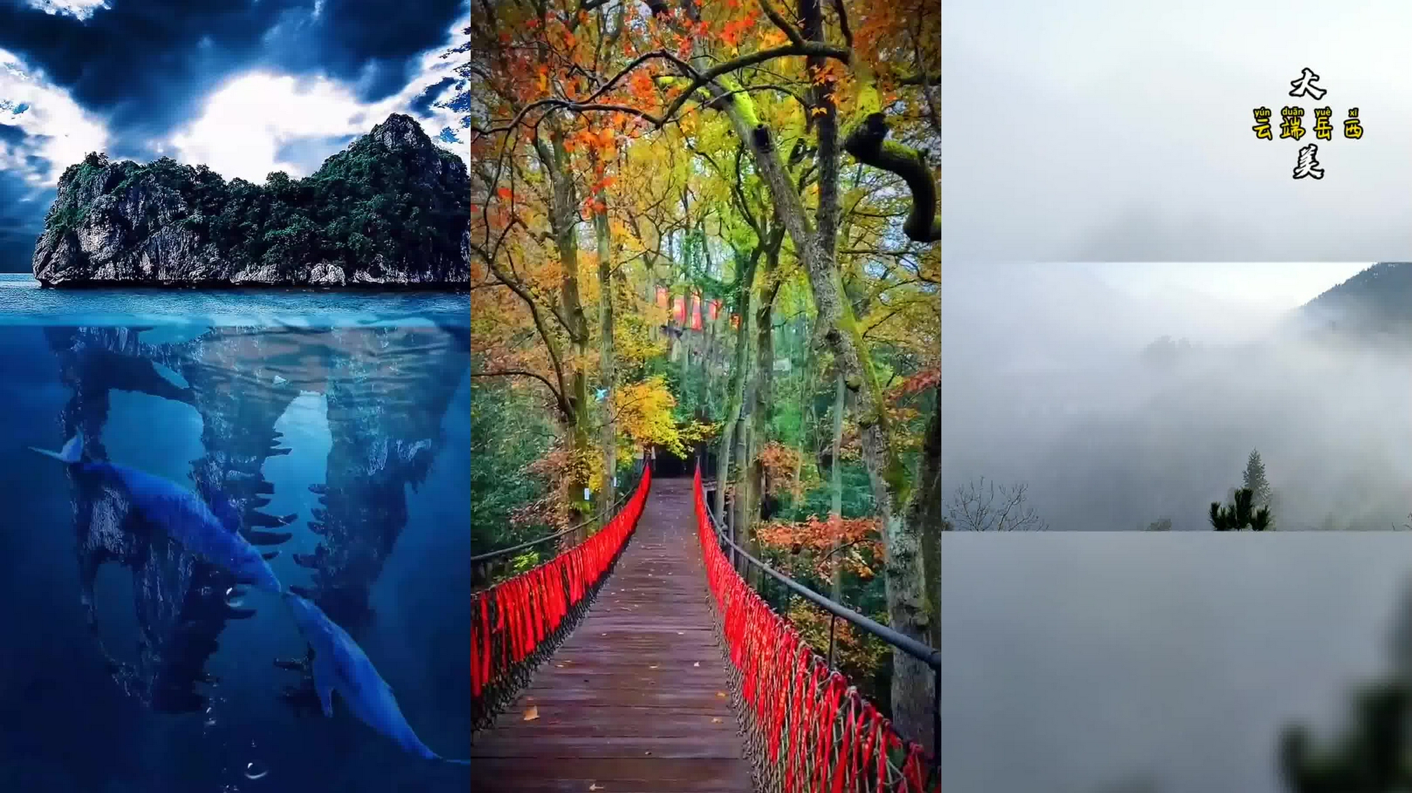 推荐一首《任贤齐-拯救心田》特别好听,赞