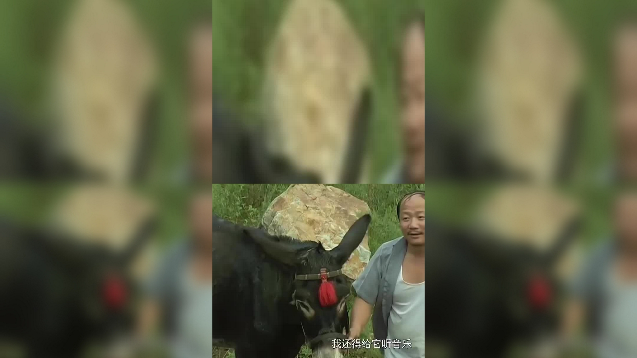 乡村爱情9:刘能和谢广坤越吵越凶,结果刘能还扯掉谢广坤的头发