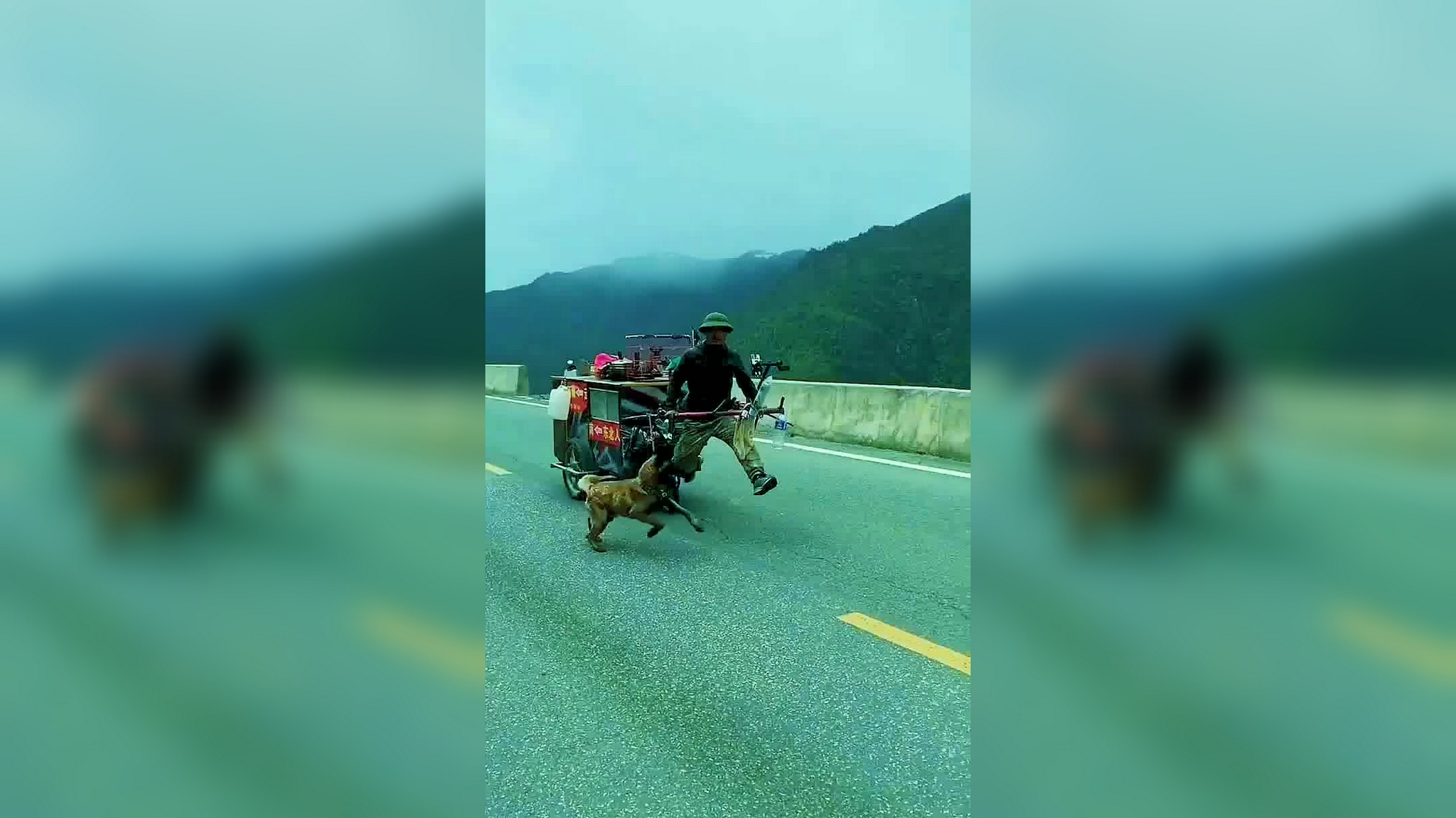 一狗一车,相守相依,仗剑走天涯