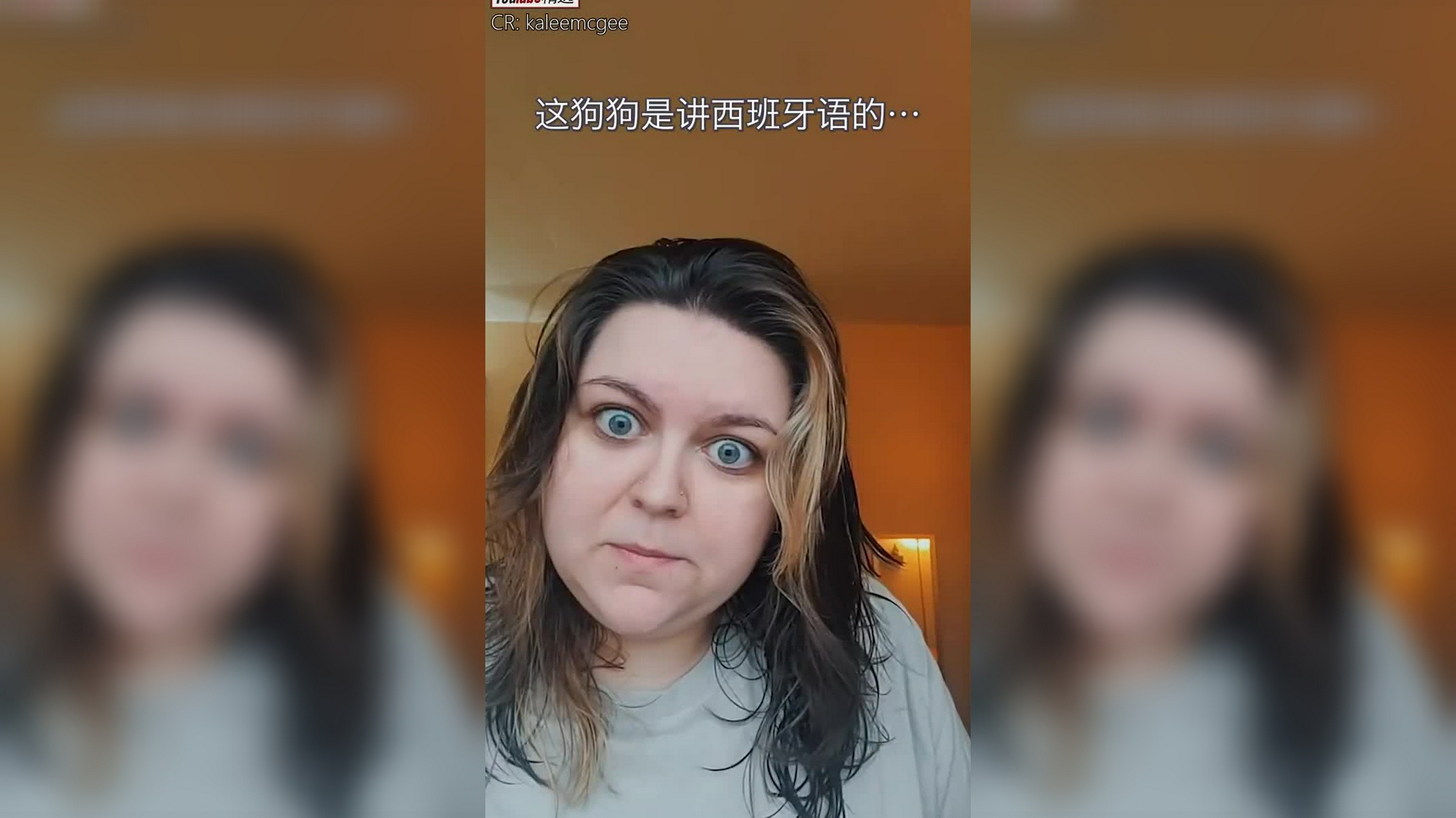 狗狗mocha和milk第一次见到小主人