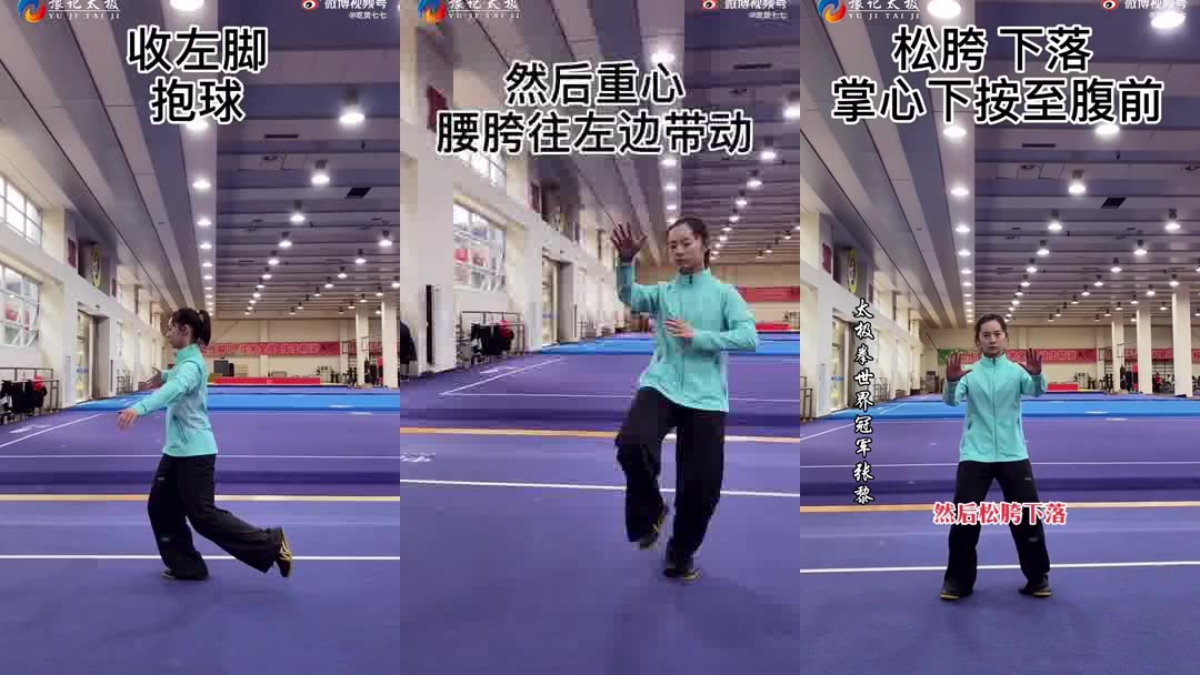 太极拳世界冠军张黎——四十二式太极拳教学视频(记得收藏)