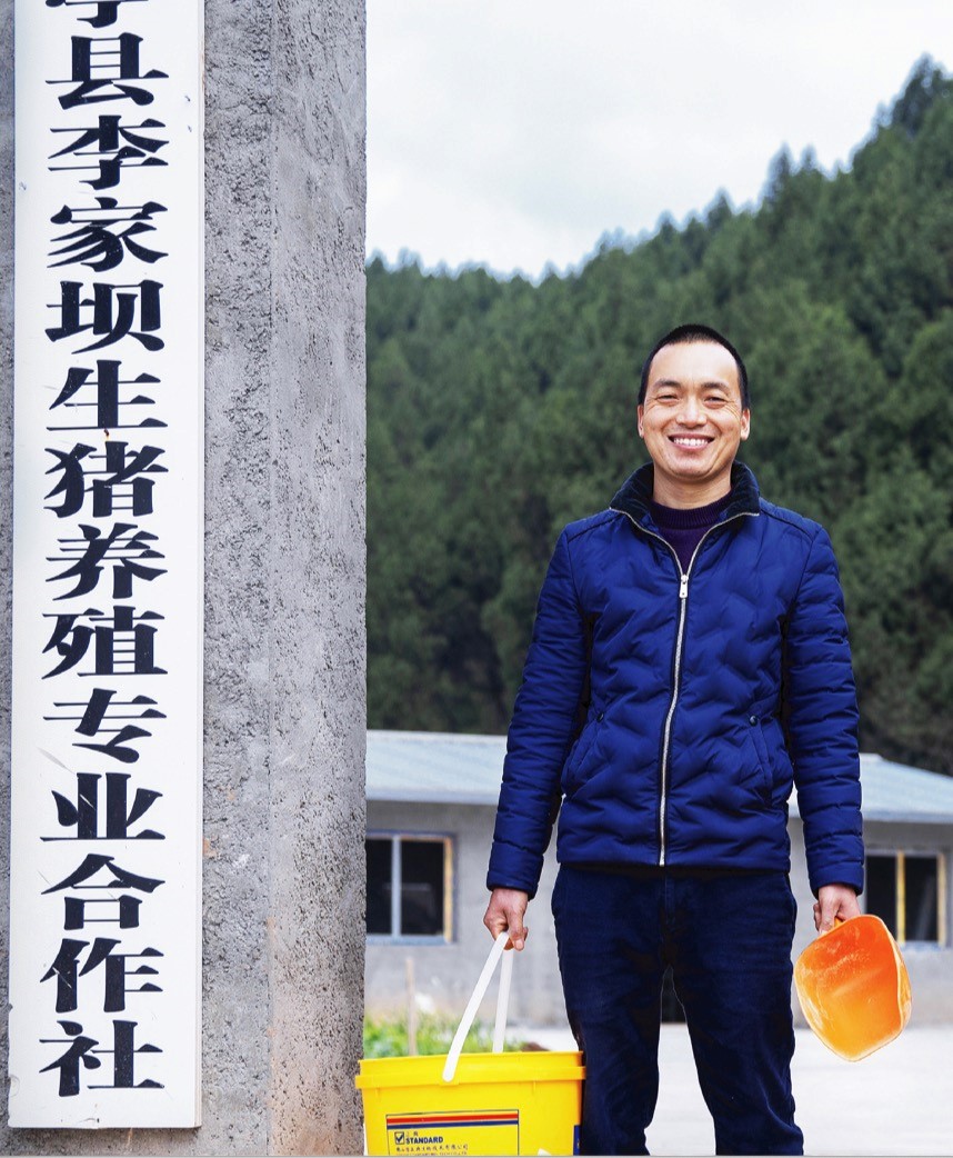 和王雷一样,在四川绵阳盐亭县搞生猪代养的黄昌林,年前也拿到了新网