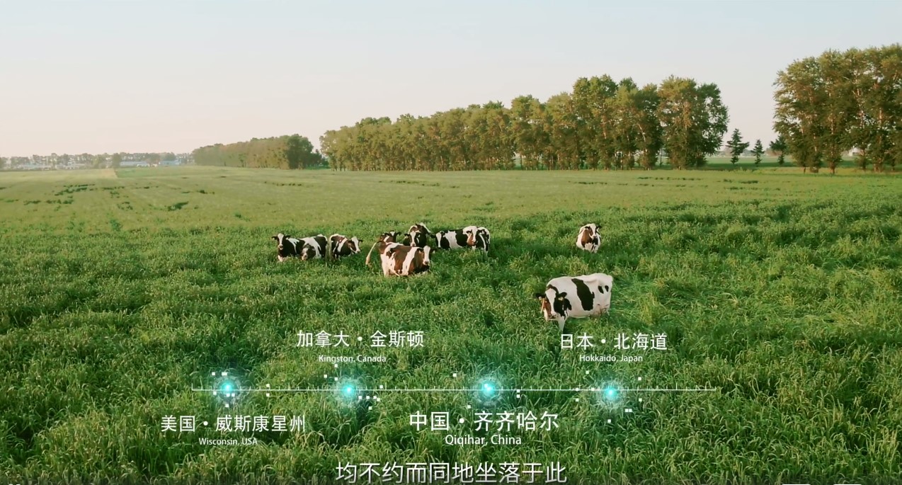 中国飞鹤-北纬47度黄金奶源地